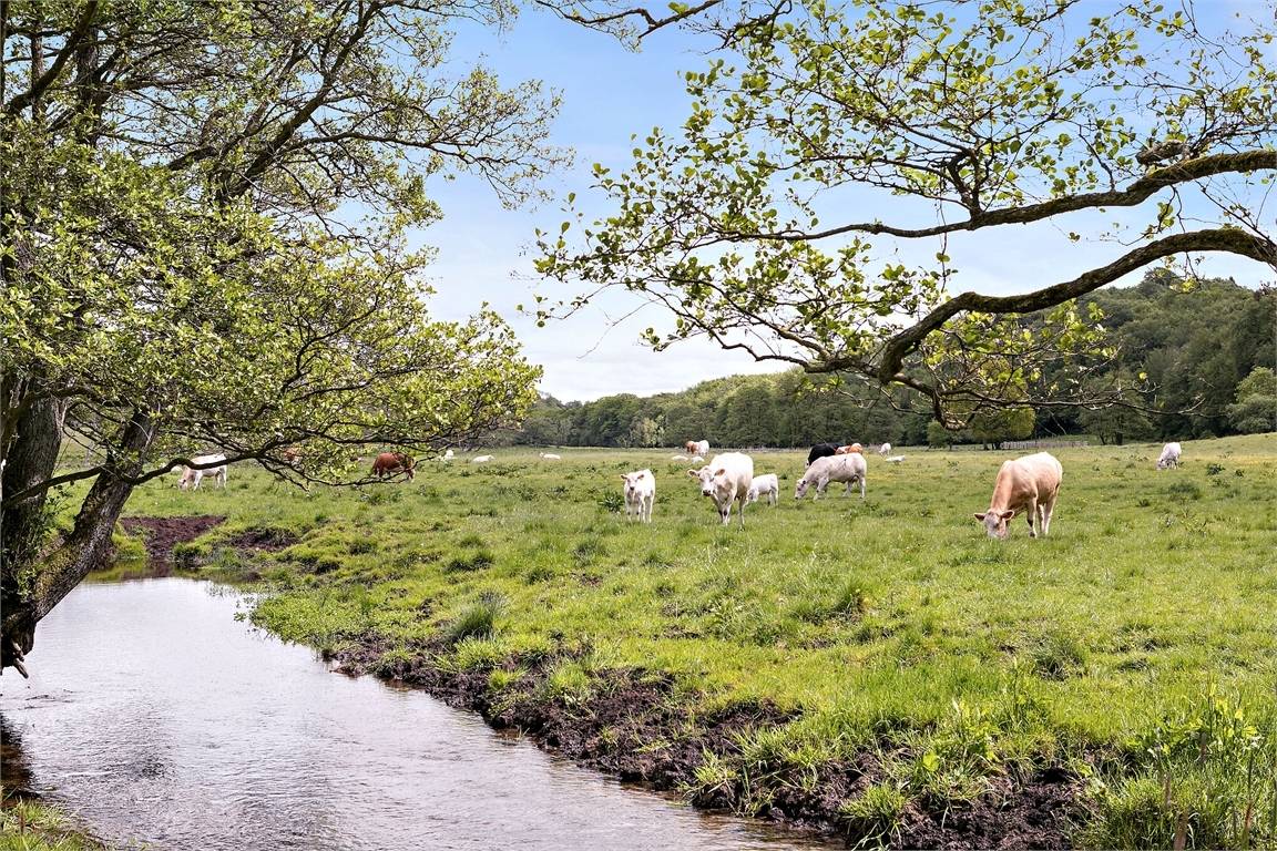 7 rum Gård/skog på Eneborgsvägen 499-24 Fyledalen Ystads kommun - bild 44