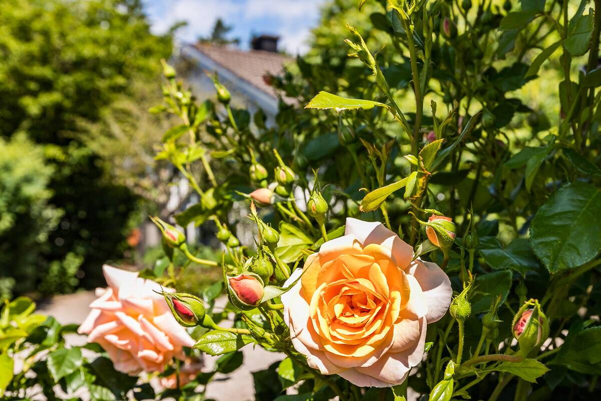 6 rum Villa på Vierydsvägen 160 Dragsnäs Ronneby kommun - bild 43