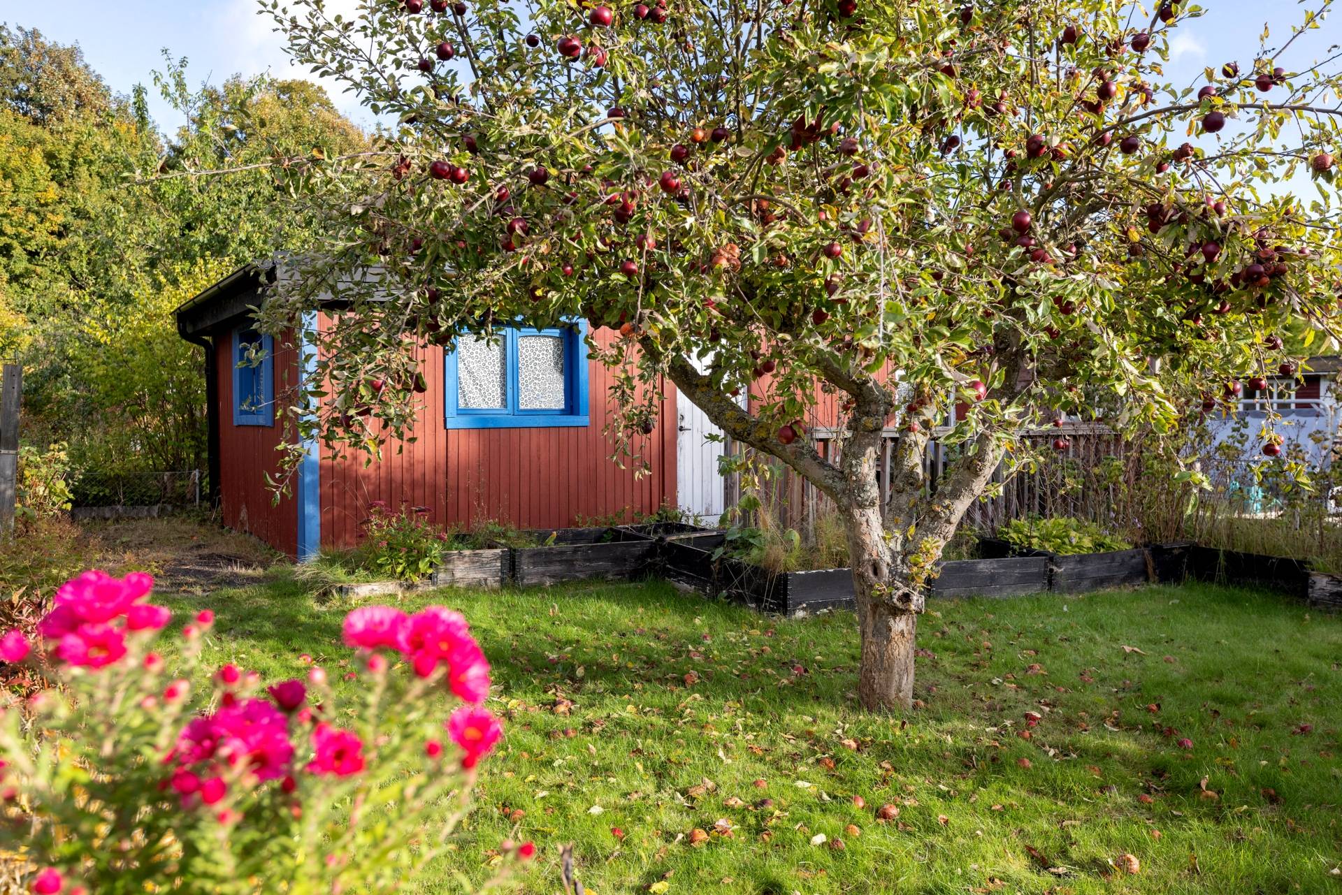 Granbackens Koloniförening, Burlövs kommun