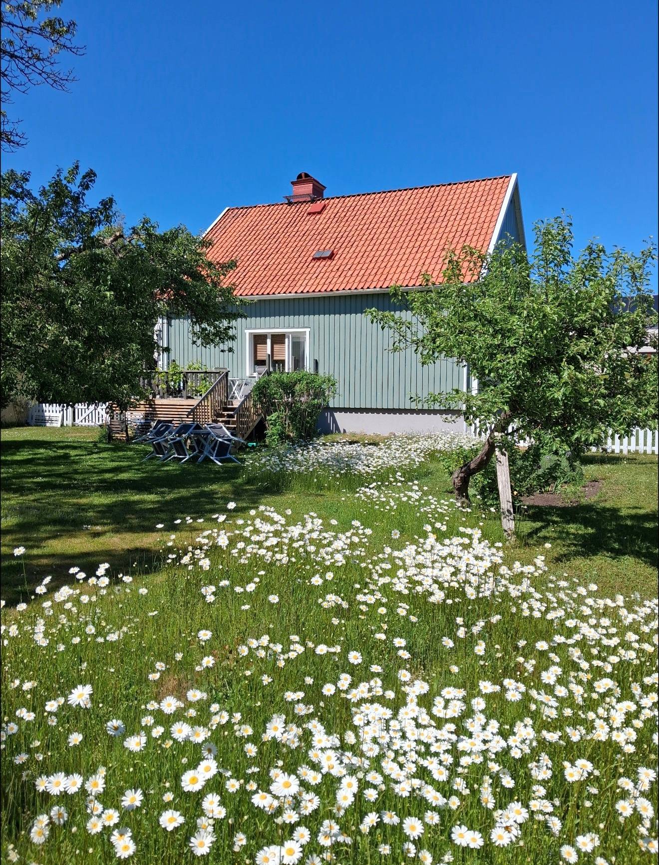 6 rum Villa på Eneqvistgatan 6 Visby Gotlands kommun - bild 50