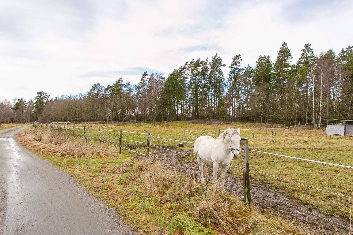 7 rum Gård/skog på Vättlösa Frälsegården 1 Götene kommun - bild 58