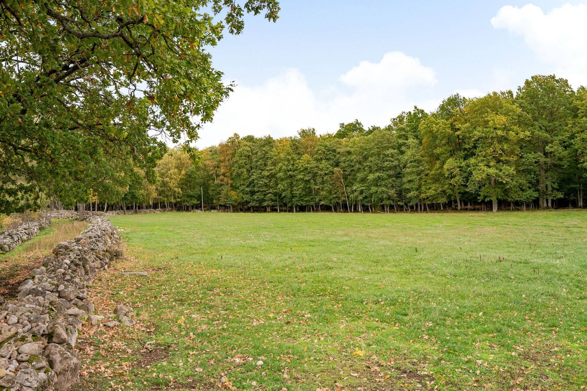 135 m² Gård med skogsbruk på Värestorp 2076 Östra Göinge kommun - bild 70