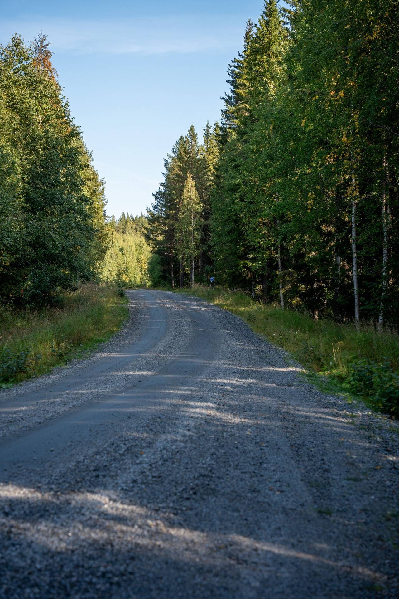 Gård med skogsbruk på Sollefteå Junsele-Vallen 2:9, Alderlund 1:11 & Junsele-Vallen 3:12 Sollefteå kommun - bild 14