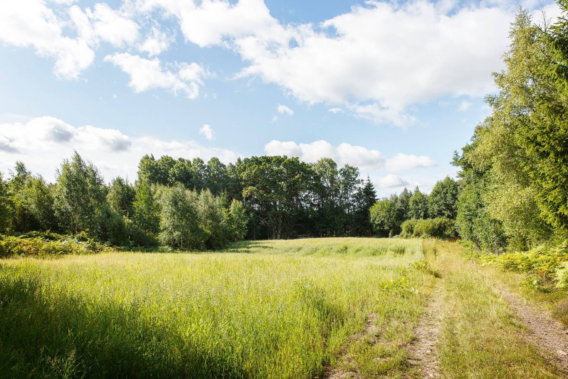 Gård med jordbruk på Apelskift Habo kommun - bild 38