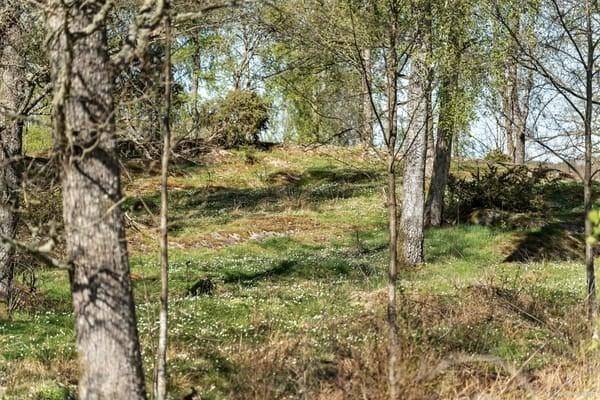 Alingsås, Vårgårda kommun
