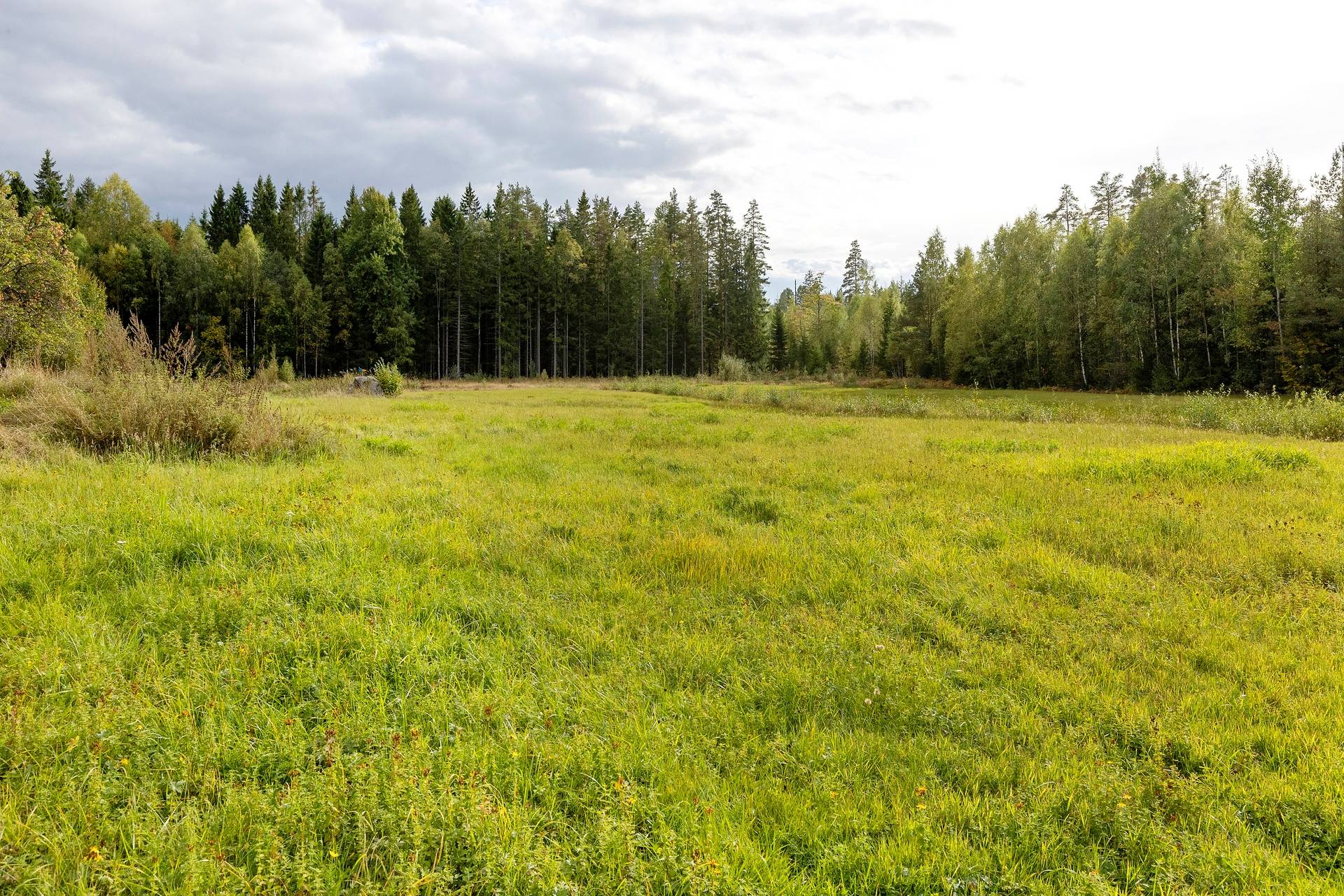 Gård med skogsbruk på Skogalund Lekebergs kommun - bild 13