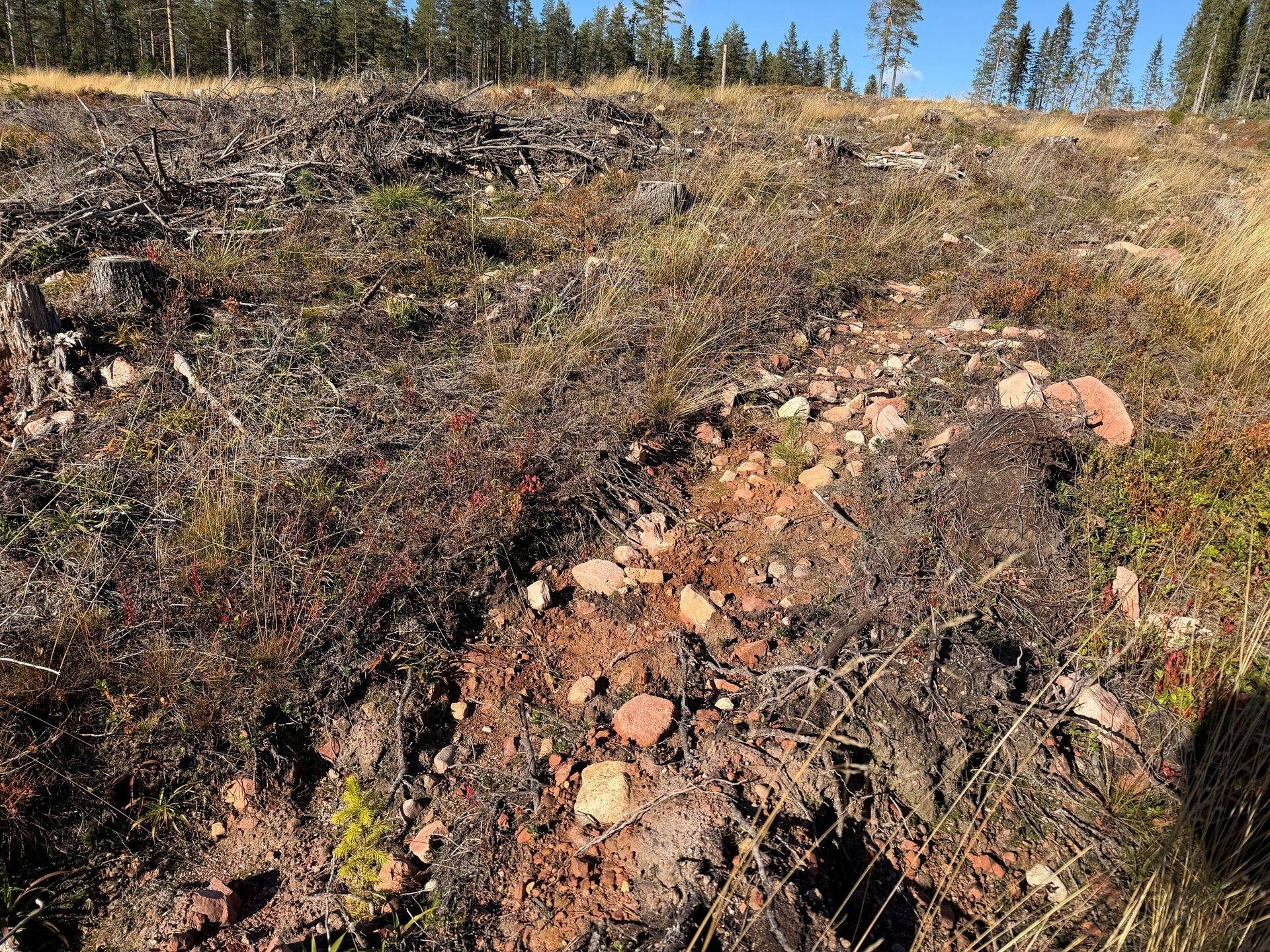 Gård/skog på Loka 31:15 Älvdalens kommun - bild 2