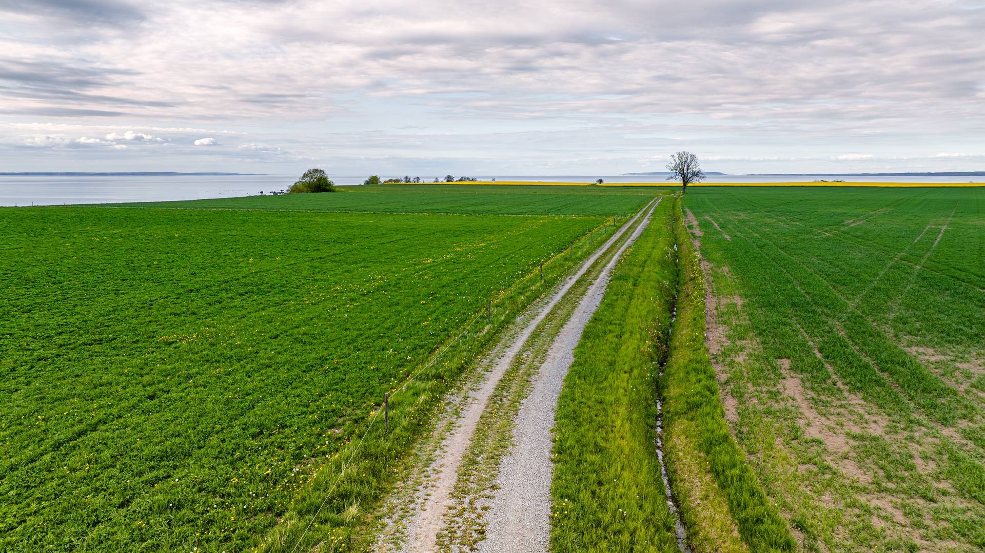 Gård med jordbruk på Visingsö-Ed - Lotten Jönköpings kommun - bild 3