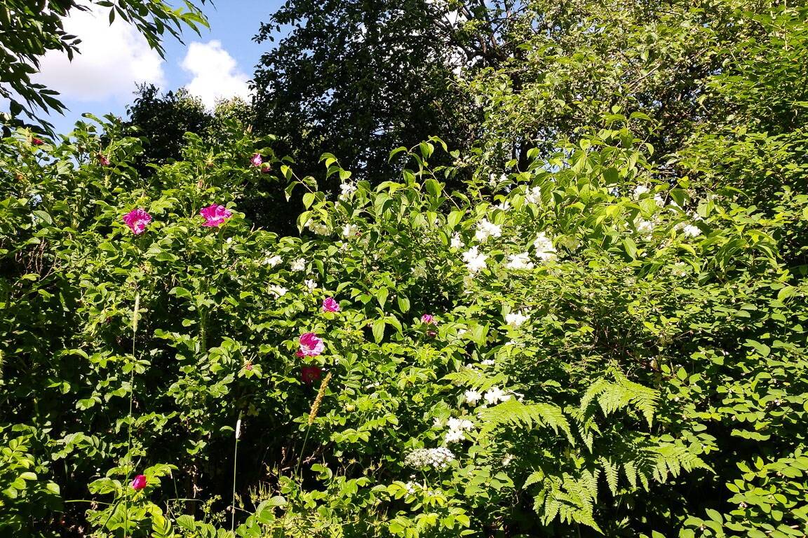 8 rum Villa på Sohlbergs väg 14 Falu kommun - bild 48