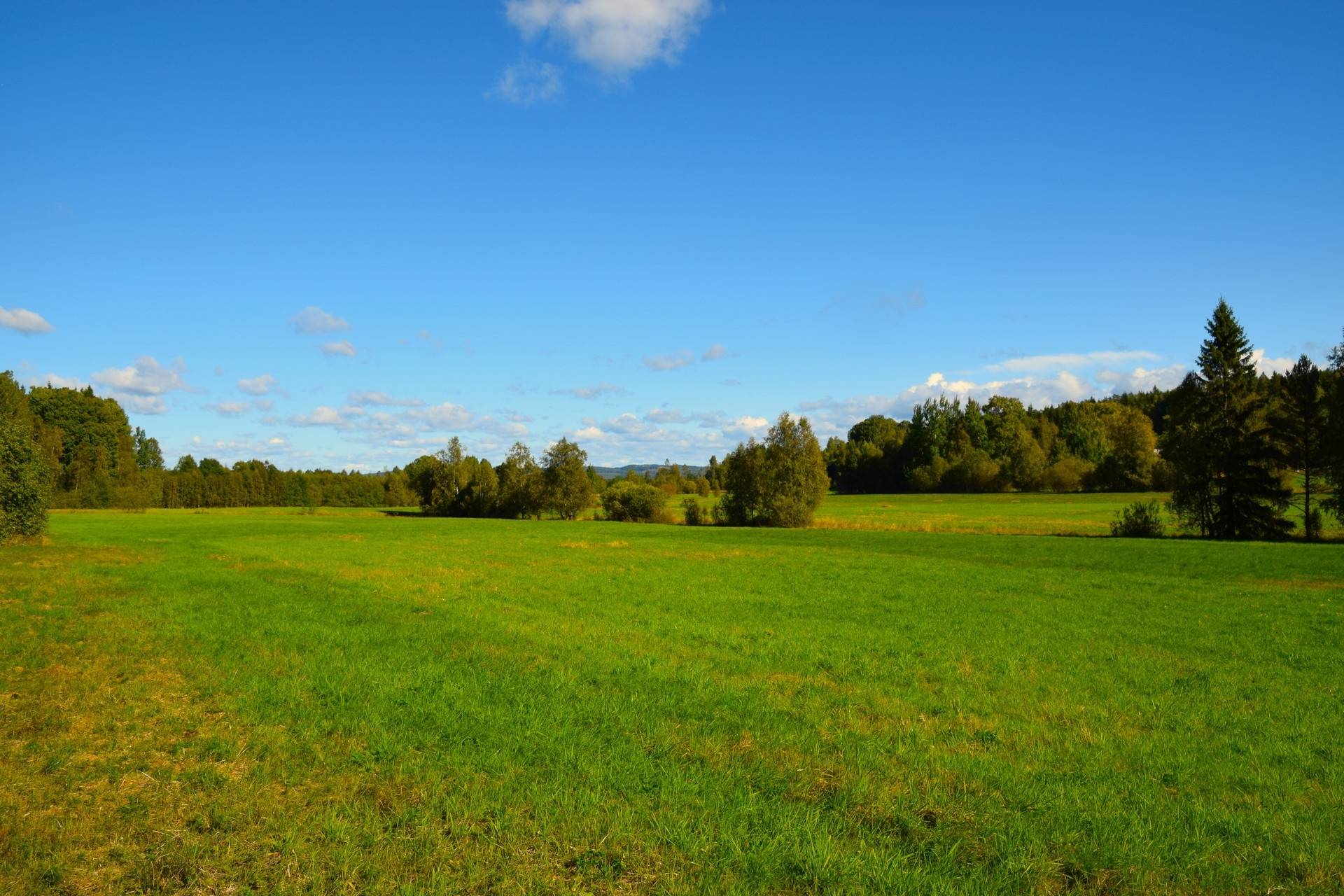 Gård med jordbruk på Snårbotten Laggartorp 23 Laggartorp Storfors kommun - bild 5