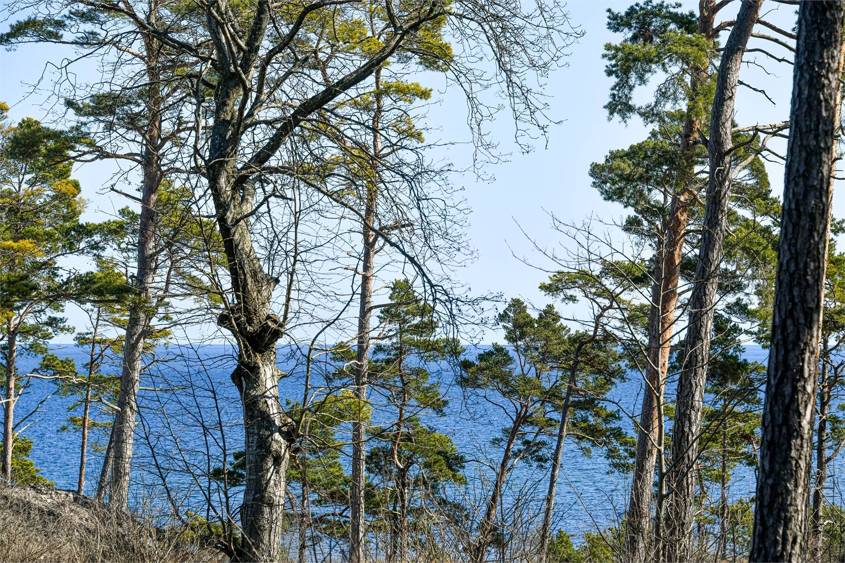 Tomt på Höga land 4 Norra Gotland Gotlands kommun - bild 17