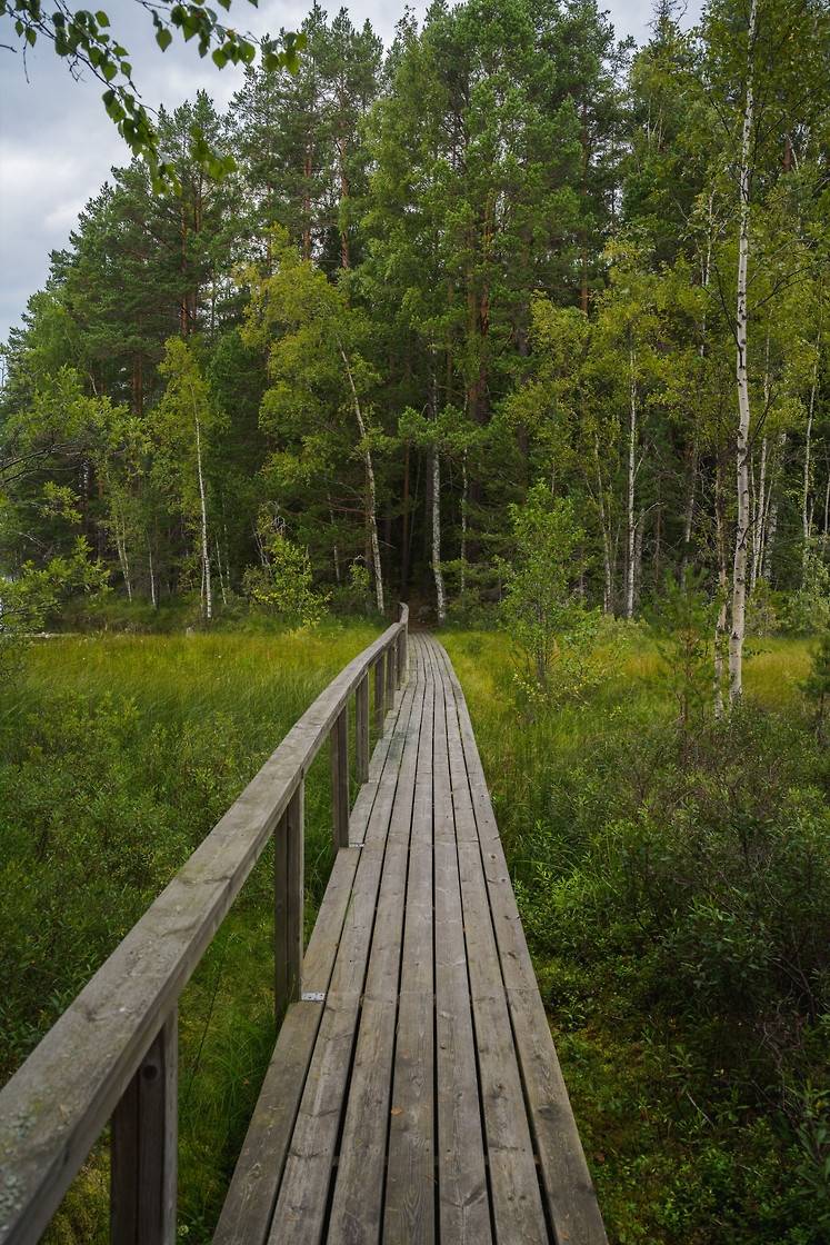 2 rum Fritidshus på Källviksvägen 31 Hyen Hofors kommun - bild 12