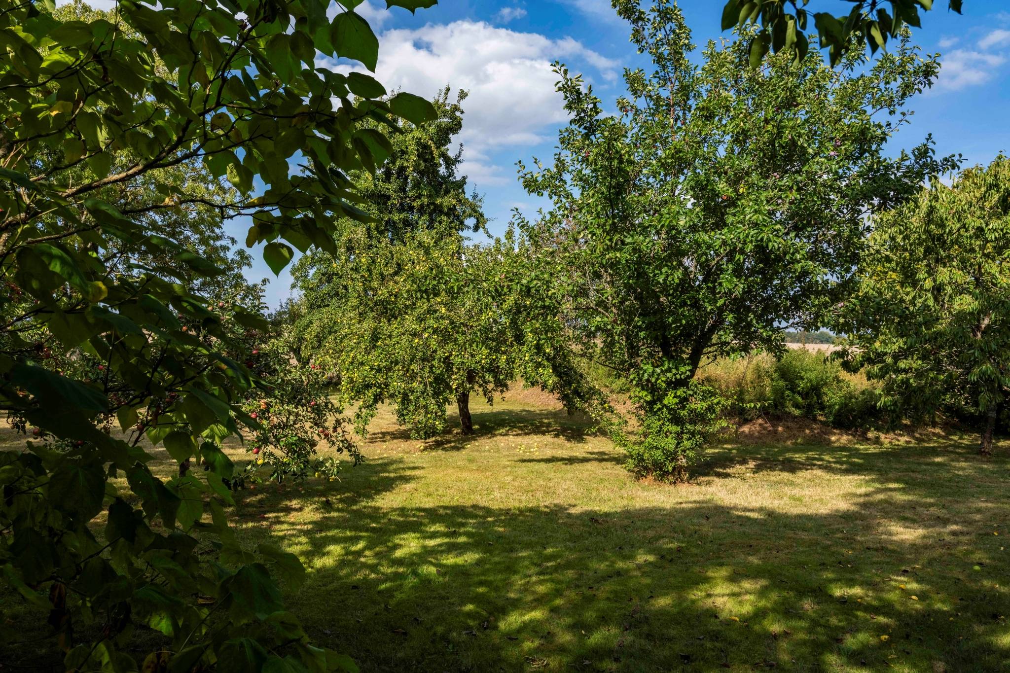4 rum Villa på Hejnum Suderbys 174 Hejnum Gotlands kommun - bild 74