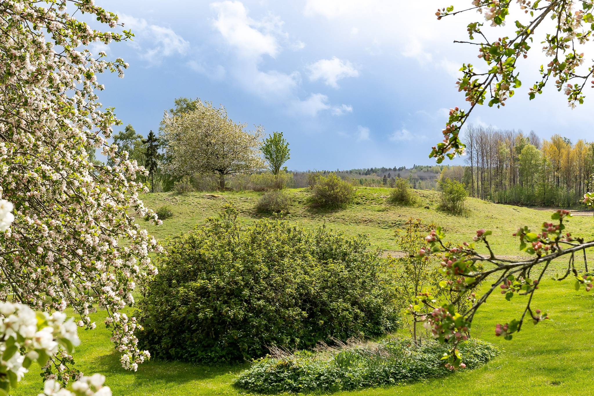 125 m² Gård/skog på Ormesta 115 Ormesta Kumla kommun - bild 39