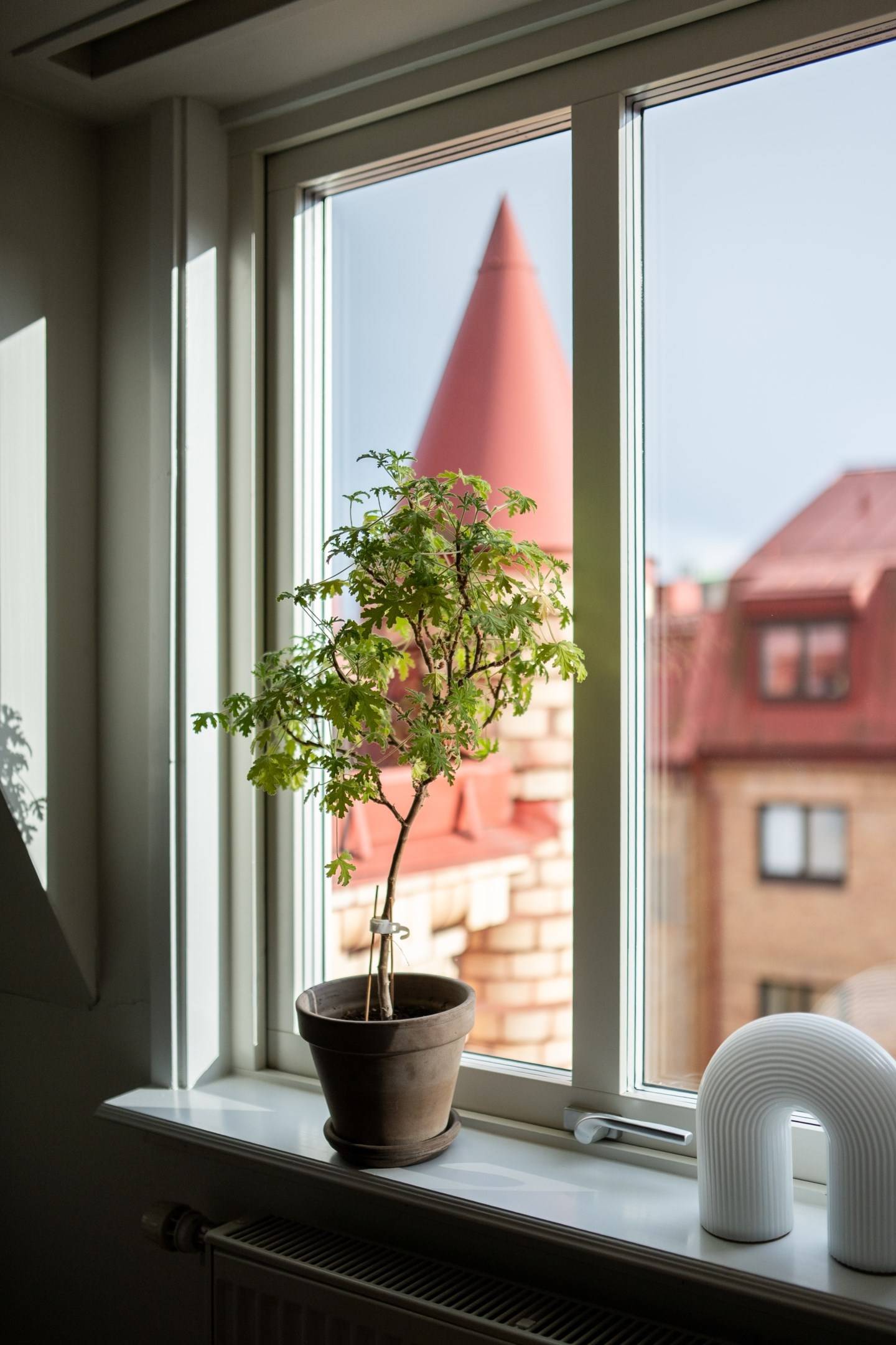 2 rum Lägenhet på Plantagegatan 9 Linnéstaden Göteborgs kommun - bild 14