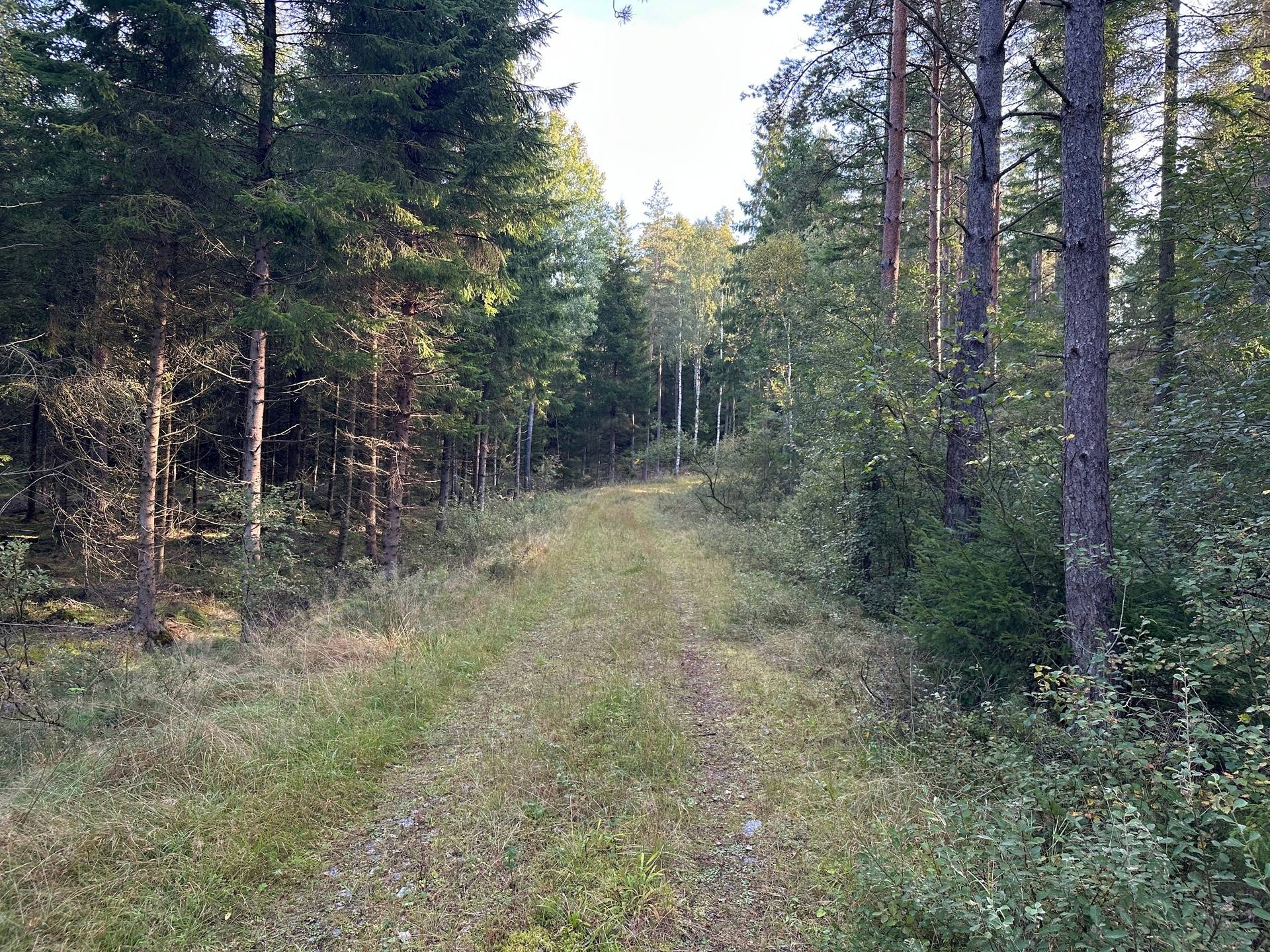 Gård med skogsbruk på MARK ANABÄCKSHULT 2:14 Anabäckshult Marks kommun - bild 17