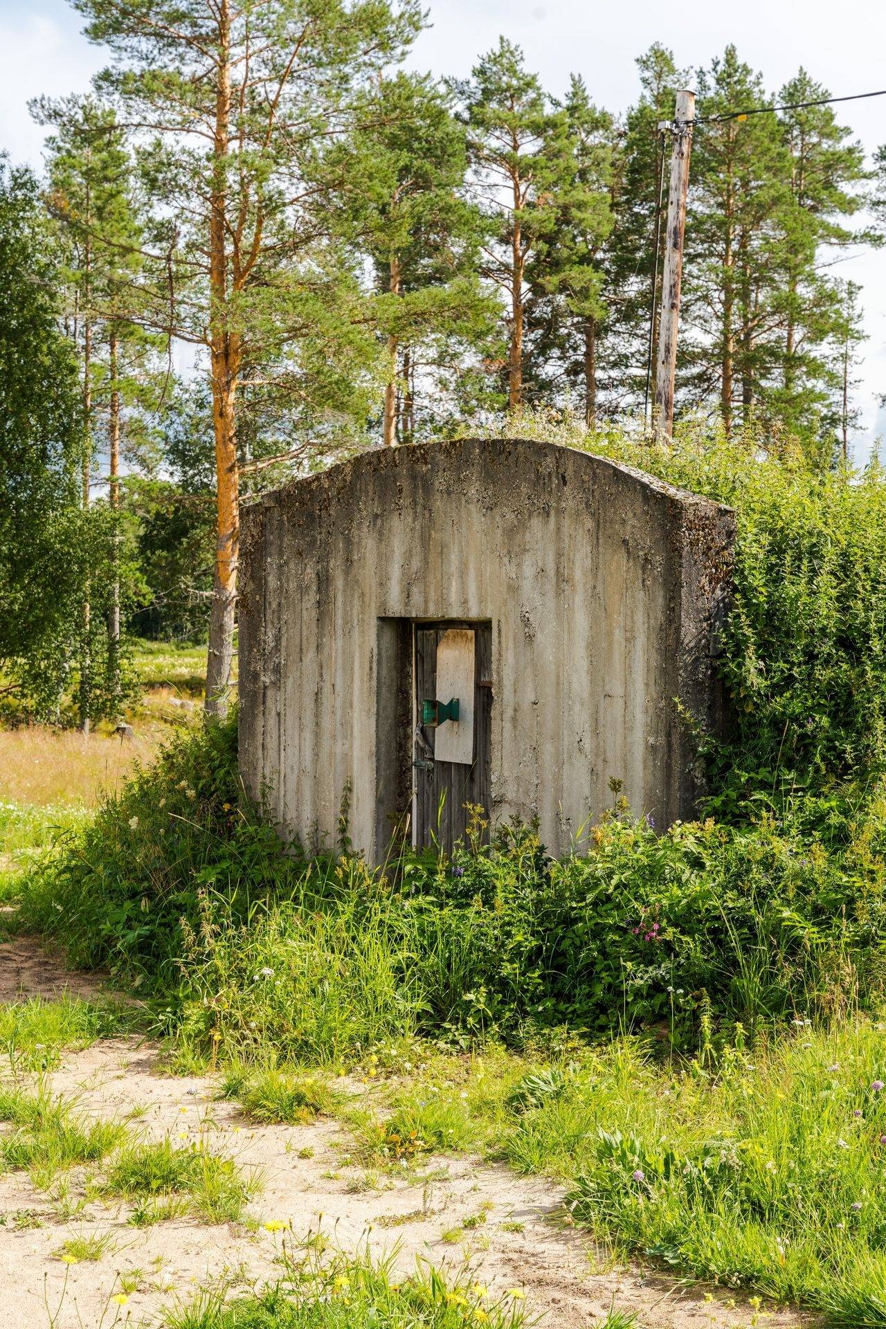 5 rum Gård/skog på Djuptjärn 8 Sörsjön Malung-Sälens kommun - bild 58