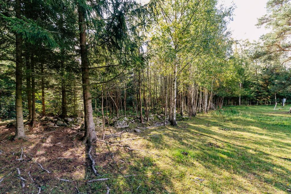 Gård utan jordbruk på Stora Alkärrsbro 1 Lantligt Utanför Tibro Tibro kommun - bild 38