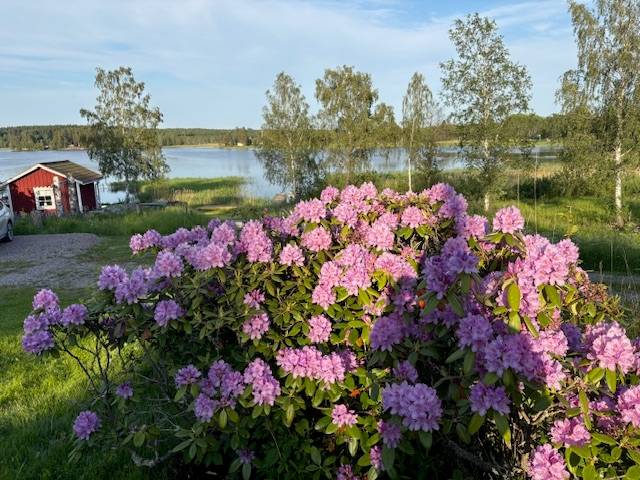3 rum Fritidshus på Västanviksvägen 51 Avesta kommun - bild 44