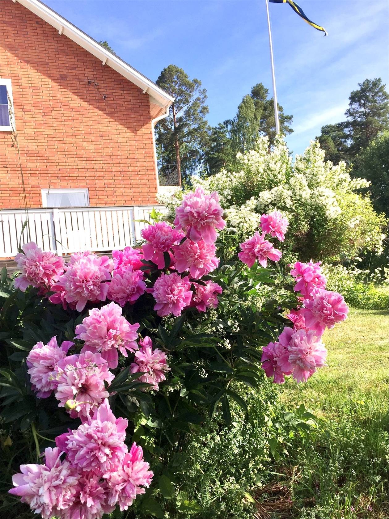 5 rum Villa på Björkvägen 17 Hemmanet-Kvissleby Sundsvalls kommun - bild 42