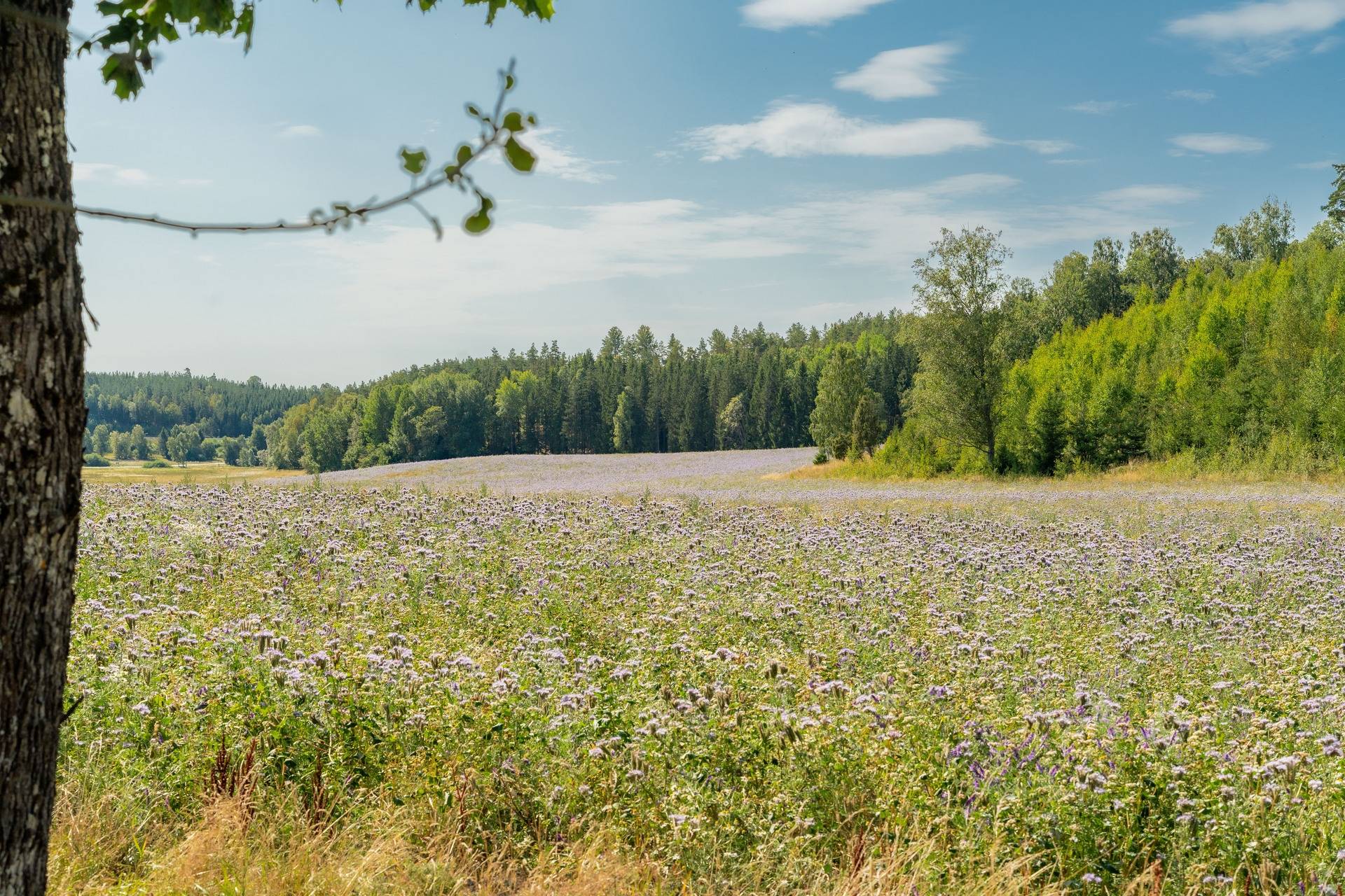50 m² Villa på Marö Stora Långsjötorp 1 Gnesta kommun - bild 20