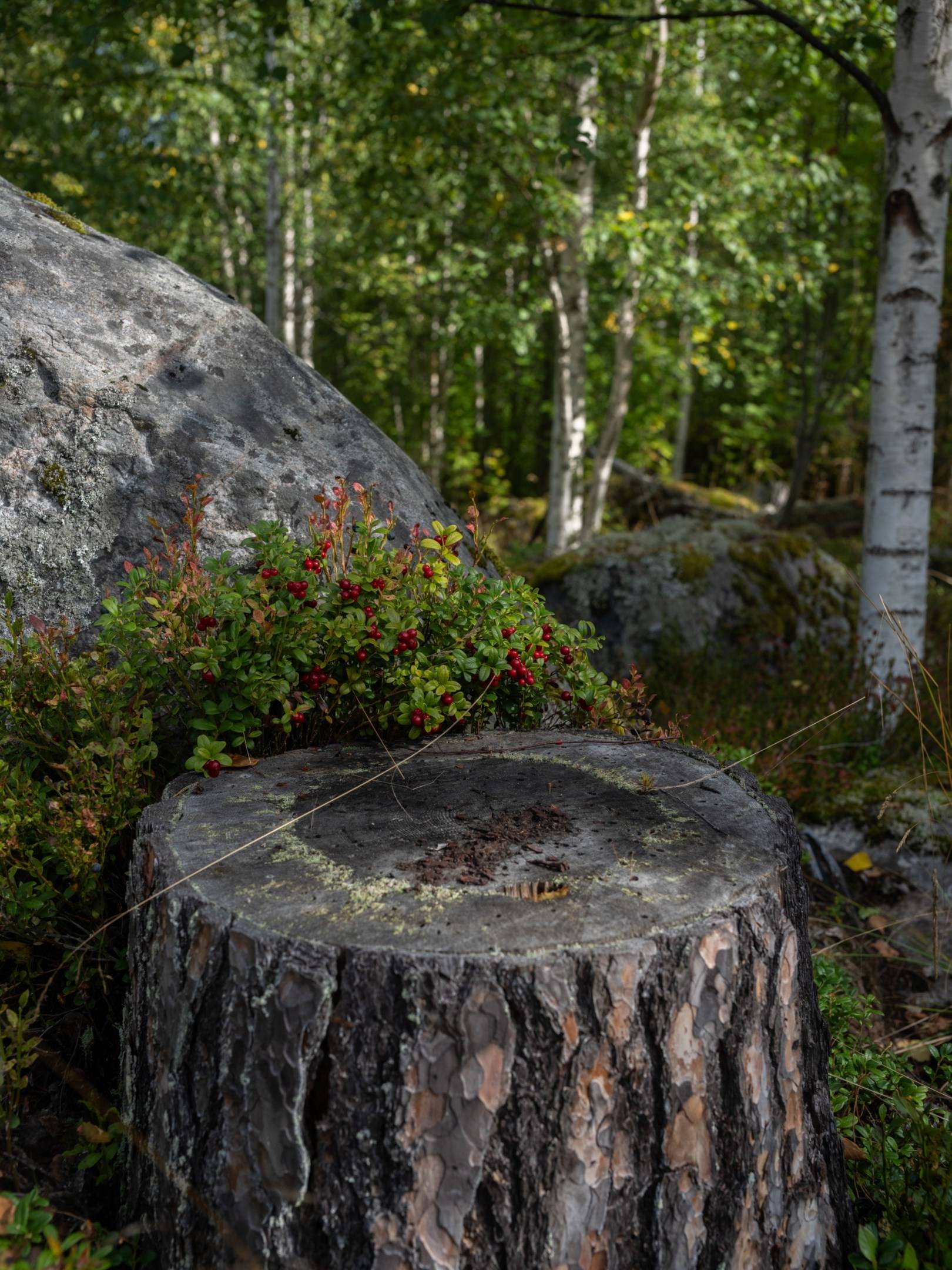 14 rum Villa på Kungsgården Långvind 1 Långvind-Enånger-Hudiksvall Hudiksvalls kommun - bild 79