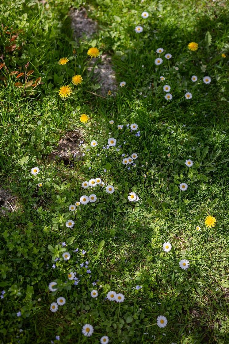 5 rum Villa på Blåbärsstigen 47 Billingssluttningen Skövde kommun - bild 50