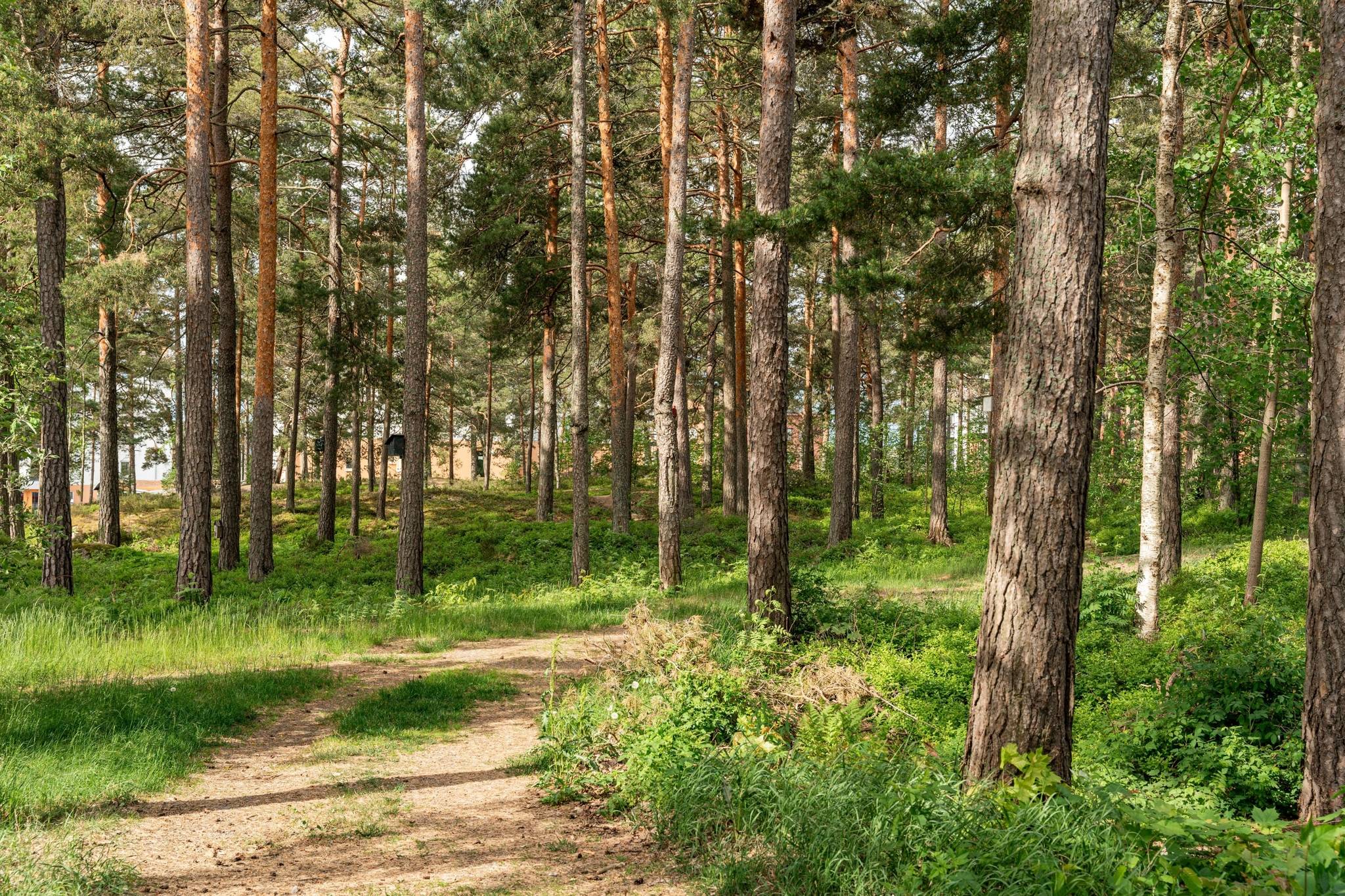 3 rum Lägenhet på Tallvägen 8 Skoghall Hammarö kommun - bild 26