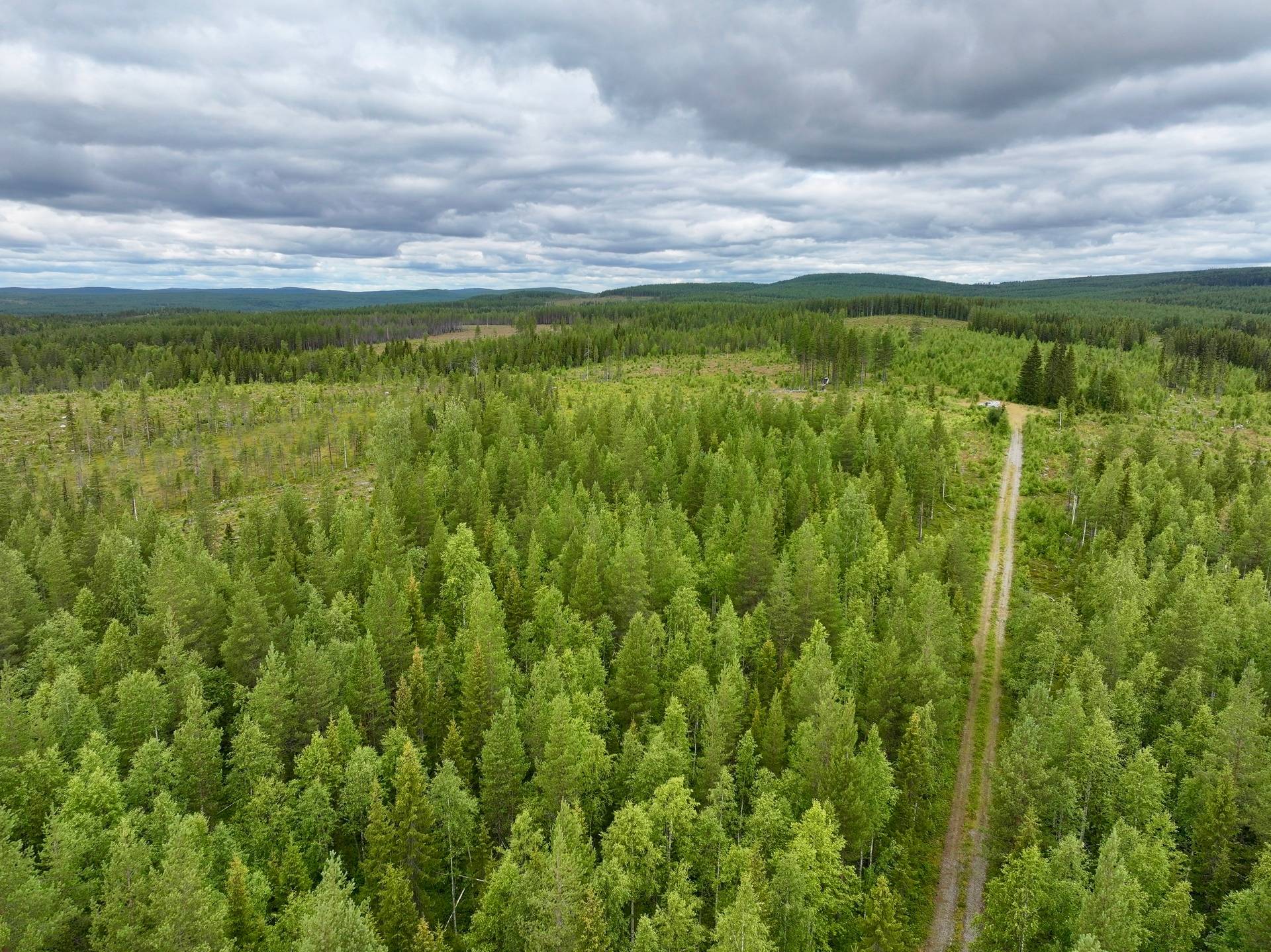Björksele, Lycksele kommun