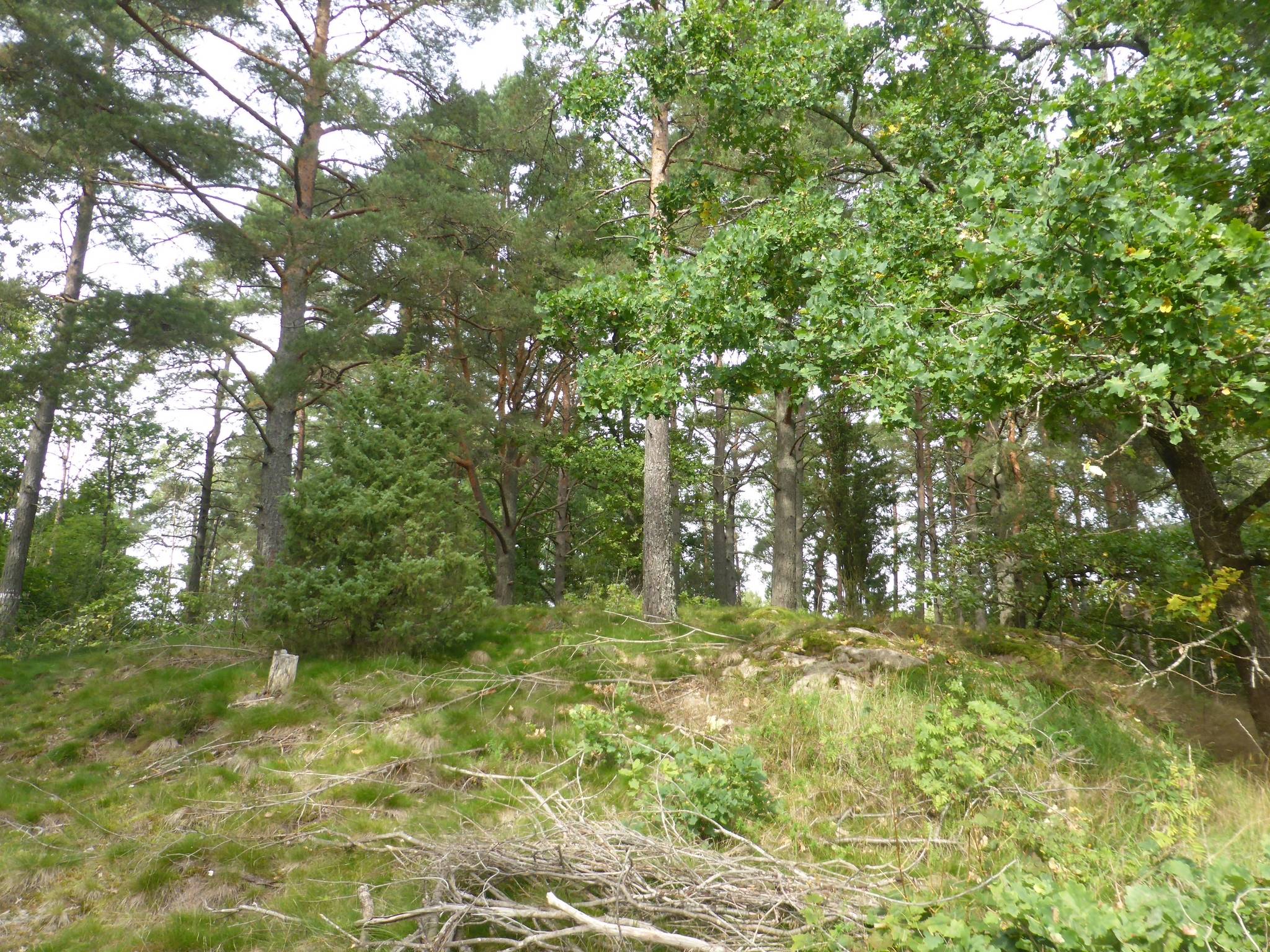 Tomt på Skiftesvägen 13B Åkers Styckebruk Strängnäs kommun - bild 12