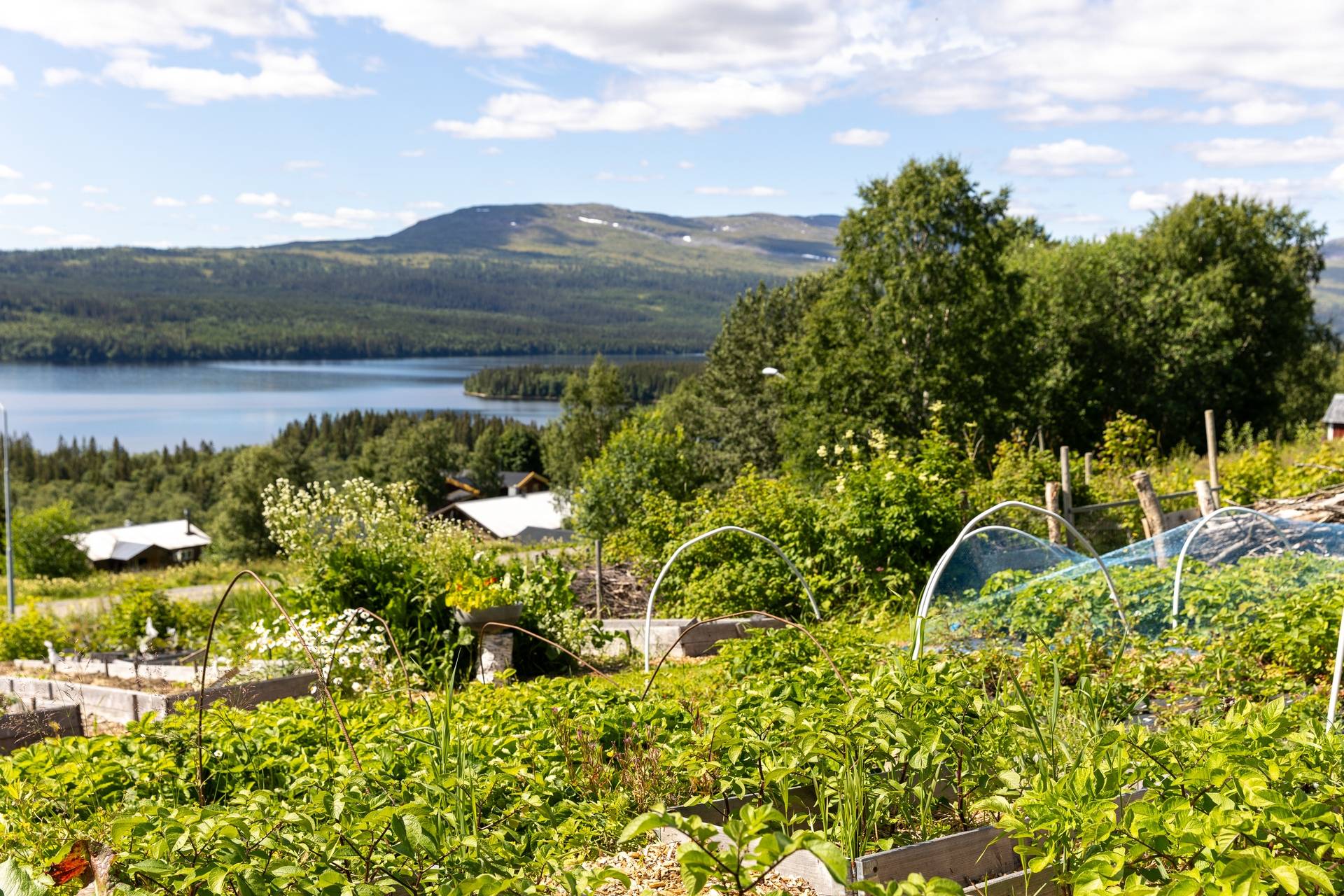 11 rum Villa på Kolåsens Fjällhotell 1 Järpen Åre kommun - bild 41