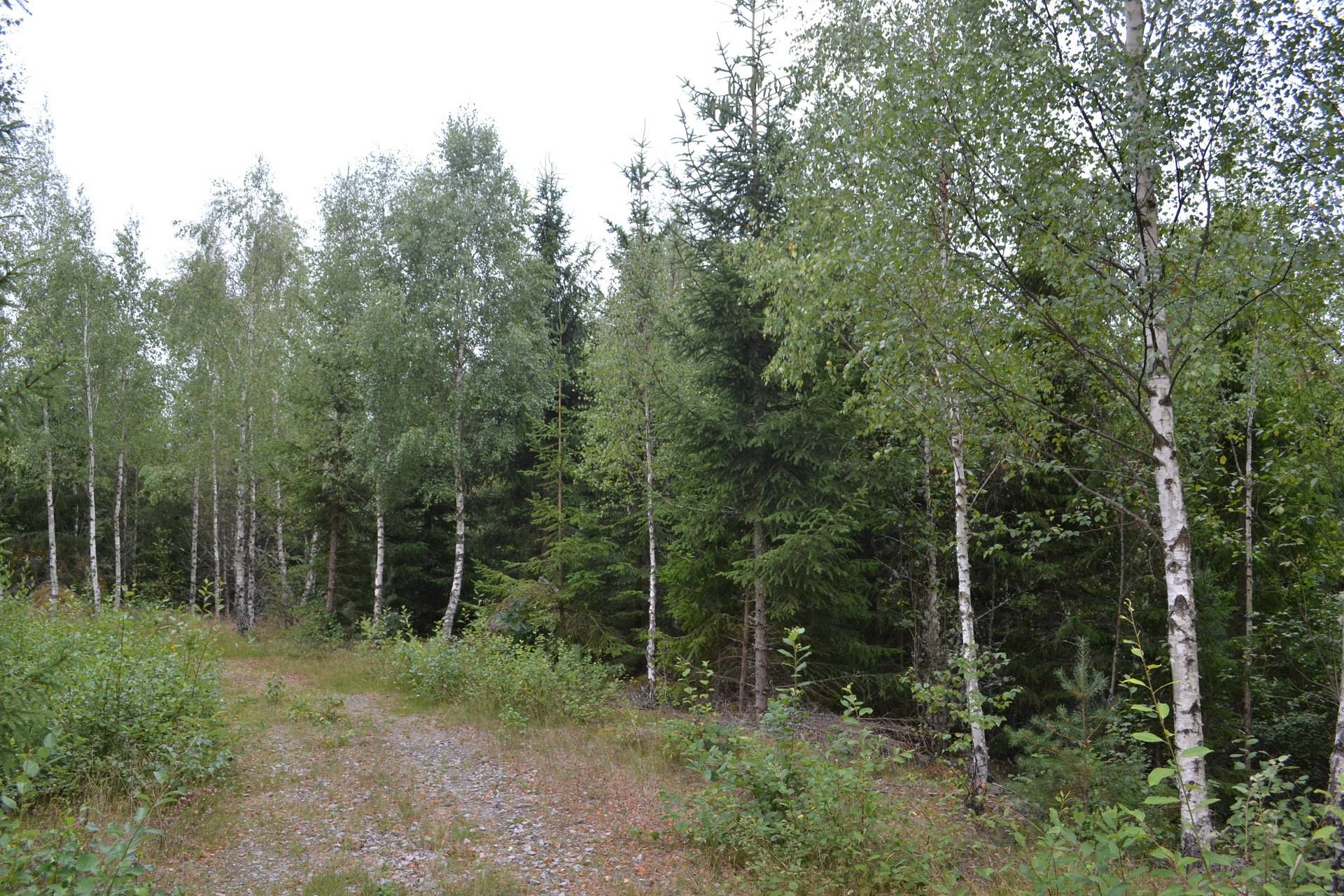Gård/skog på Boasjö Boasjö Karlskrona kommun - bild 20
