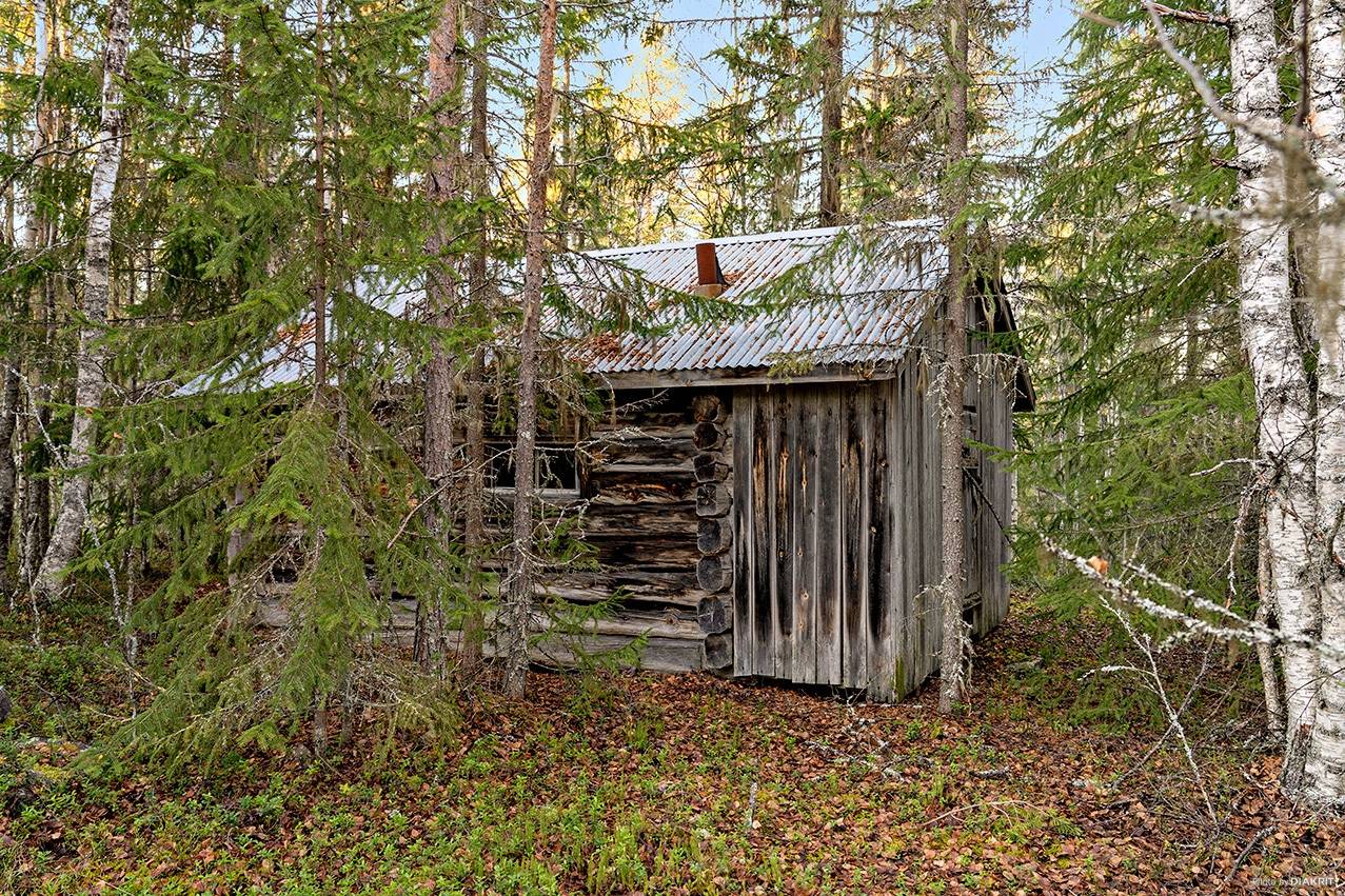 Gård med skogsbruk Älvdalens kommun - bild 8