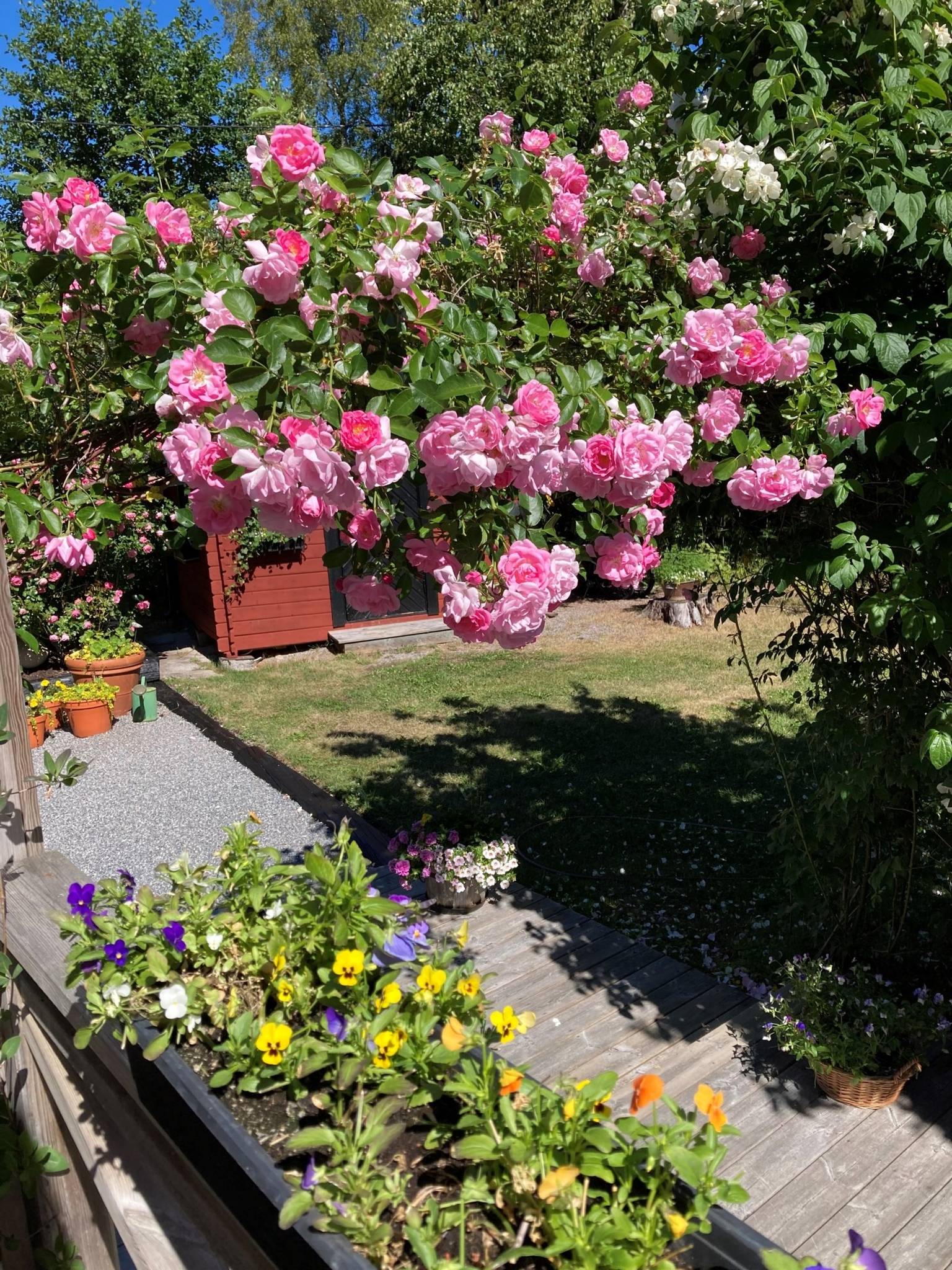 5 rum Vinterbonat fritidshus på Rodalsvägen 32 Salnö Väddö Norrtälje kommun - bild 50