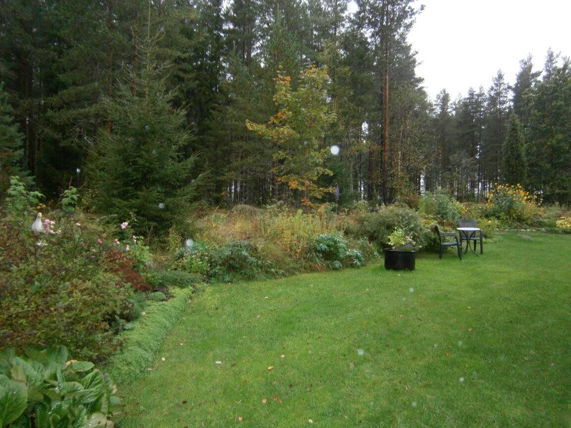 5 rum Villa på Bjurbacken 5 Södra Åbyggeby Gävle kommun - bild 36