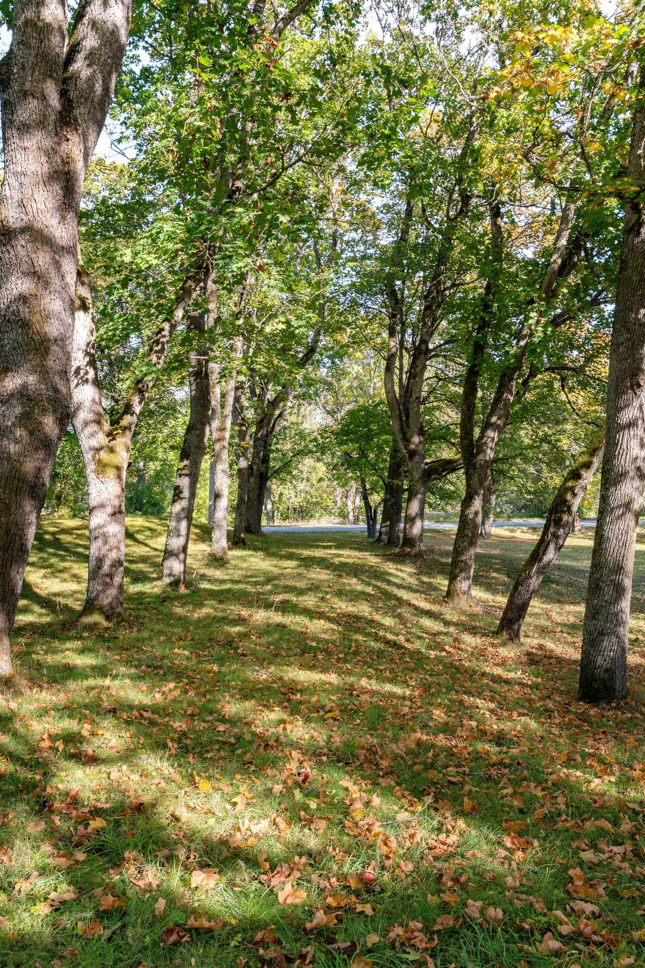 10 rum Villa på Valsta Gård Bettna Flens kommun - bild 44