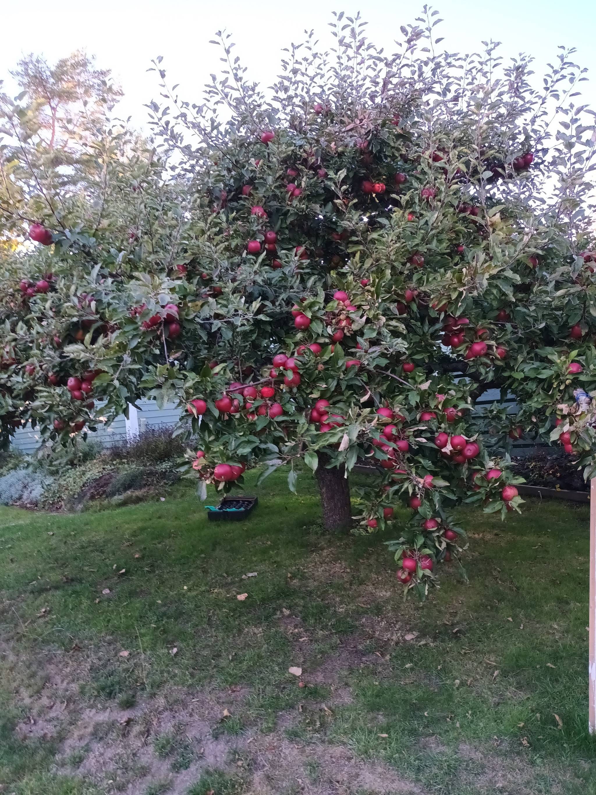 5 rum Radhus på Bryngelstorpsvägen 53 Bryngelstorp Nyköpings kommun - bild 30