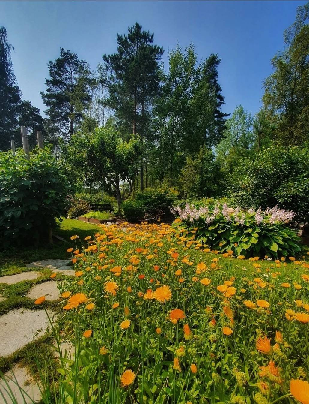 7 rum Villa på Björnvägen 7 Öhmans Hage Smedjebackens kommun - bild 66