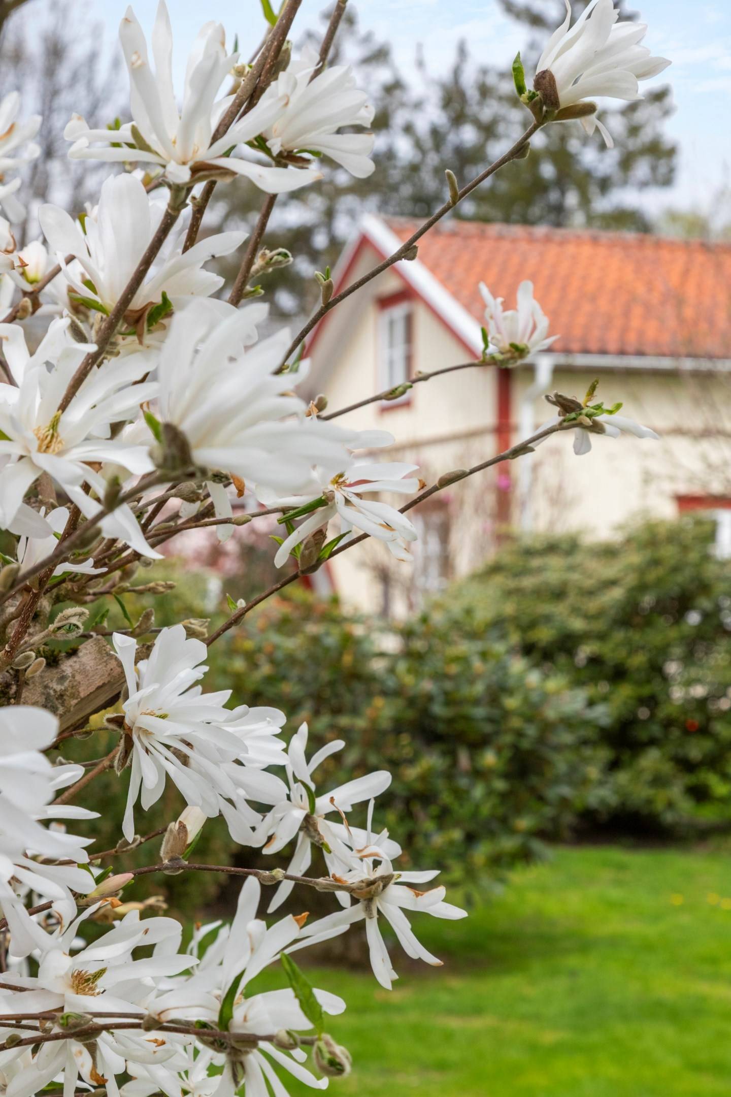 6 rum Villa på Nygatan 44 Veddige Varbergs kommun - bild 35
