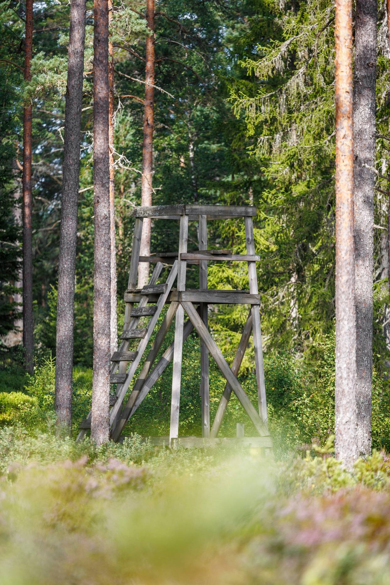 Gård med jordbruk på Apelskift Habo kommun - bild 37