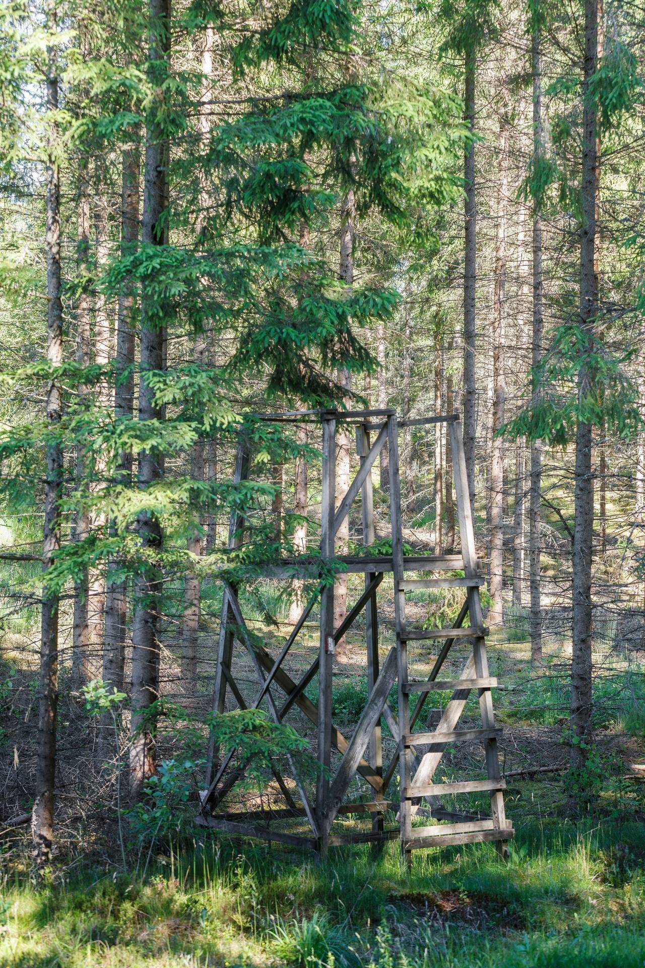 Gård med skogsbruk på Starrike Vaggeryds kommun - bild 8
