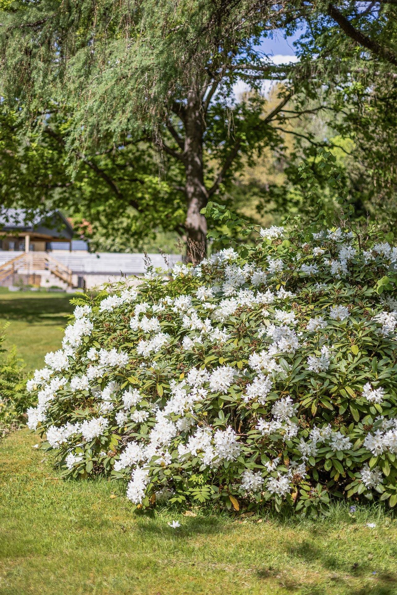 5 rum Villa på Stenåsvägen 43 Borsökna Eskilstuna kommun - bild 41