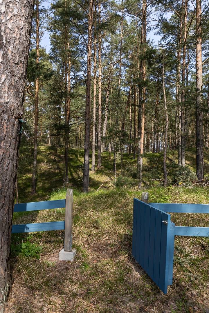 6 rum Villa på Enrisvägen 19 Åhus - Äspet Kristianstads kommun - bild 19