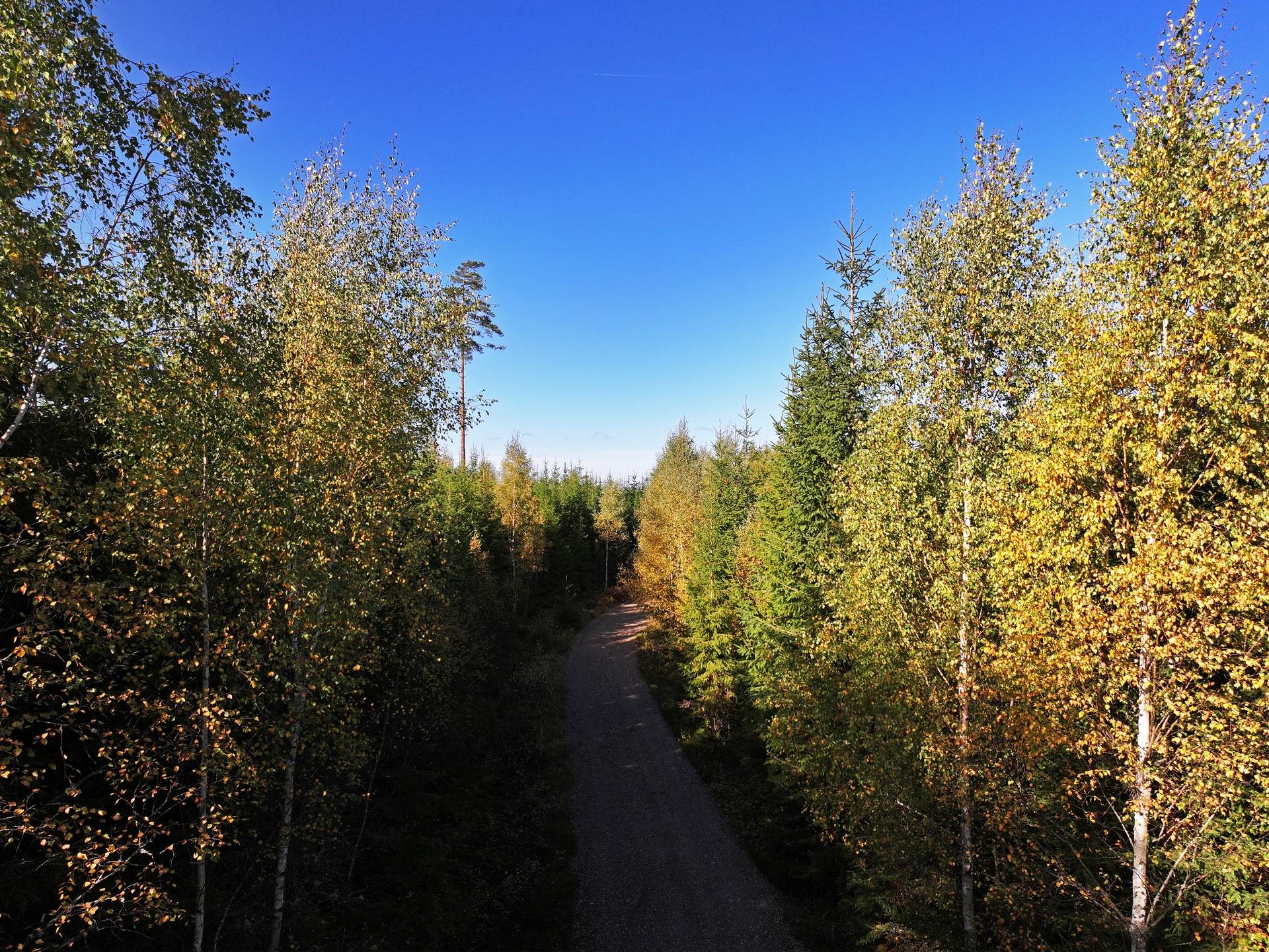 Gård med jordbruk på Älmekulla Ydre kommun - bild 20