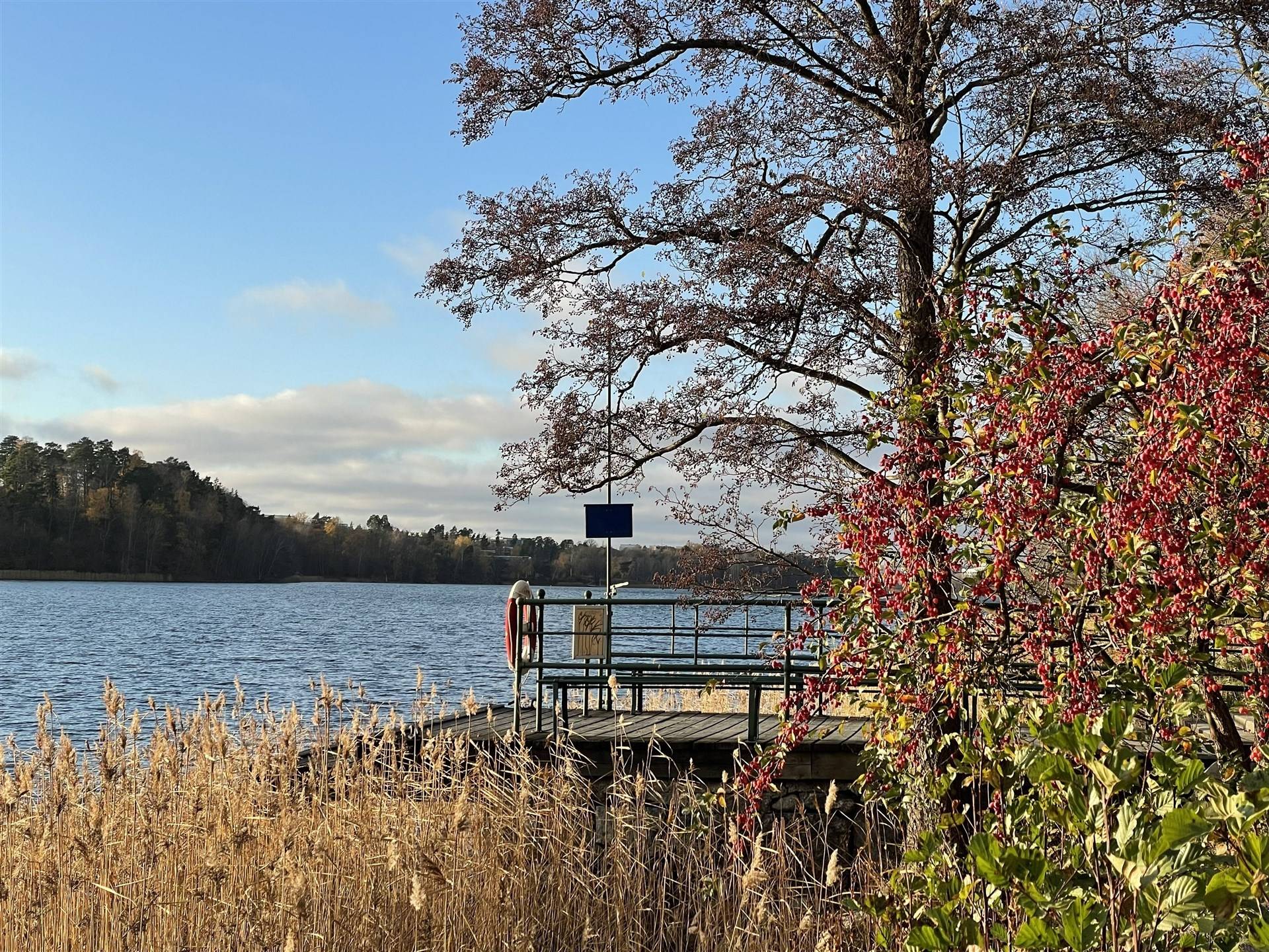 4 rum Lägenhet på Ekhagsvägen 12 Stockholm - Ekhagen Stockholms kommun - bild 32