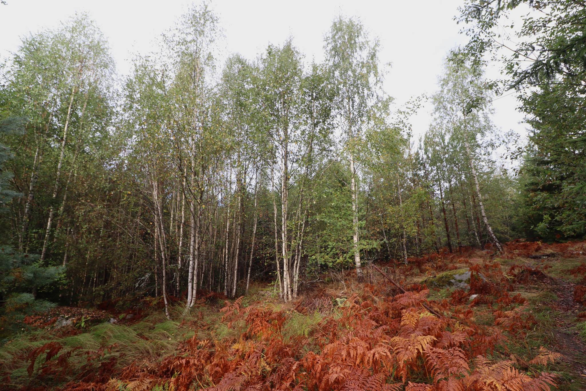 2 rum Gård/skog på Haglundavägen 17 Gottröra - Haglunda Norrtälje kommun - bild 8