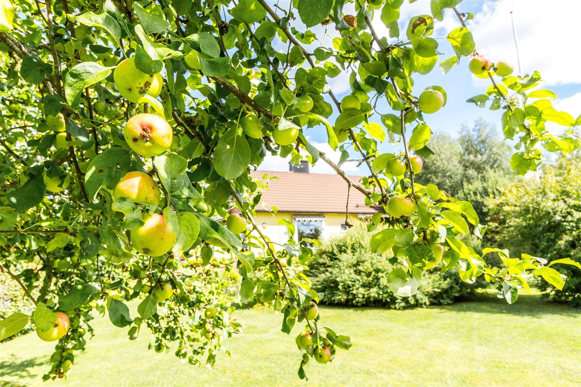 4 rum Villa på Blåklintsvägen 16 Hagfors kommun - bild 8