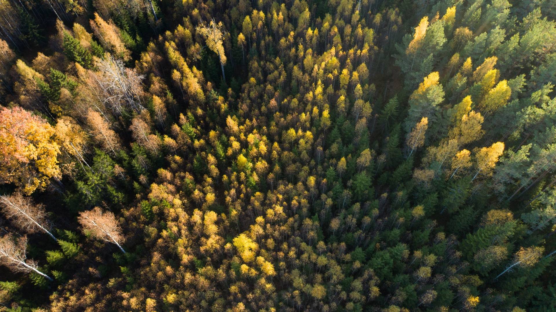 Gård med skogsbruk på Sanda Kristinehamns kommun - bild 27