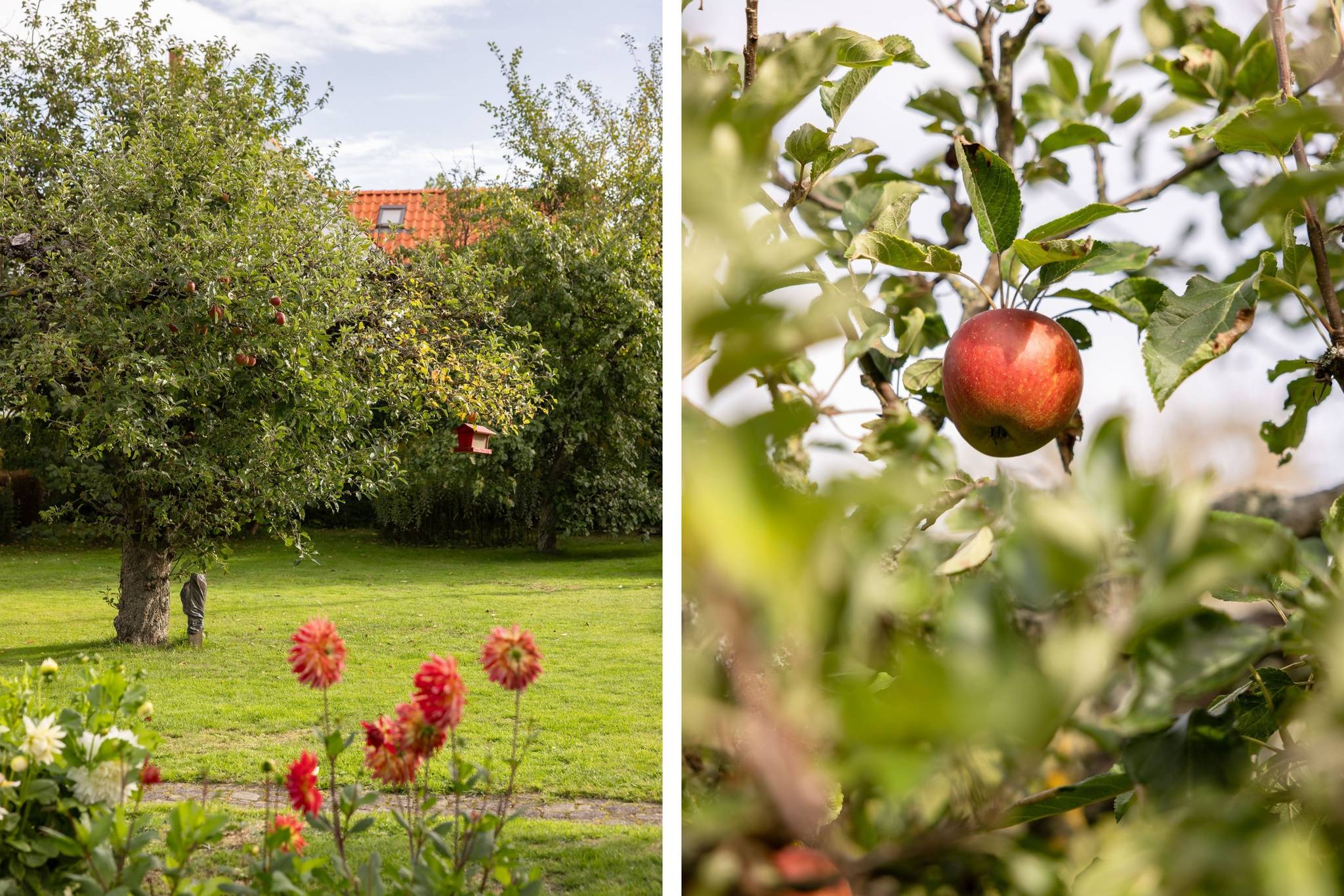 7 rum Villa på Lavendelvägen 18 Sliparelyckan Lunds kommun - bild 29