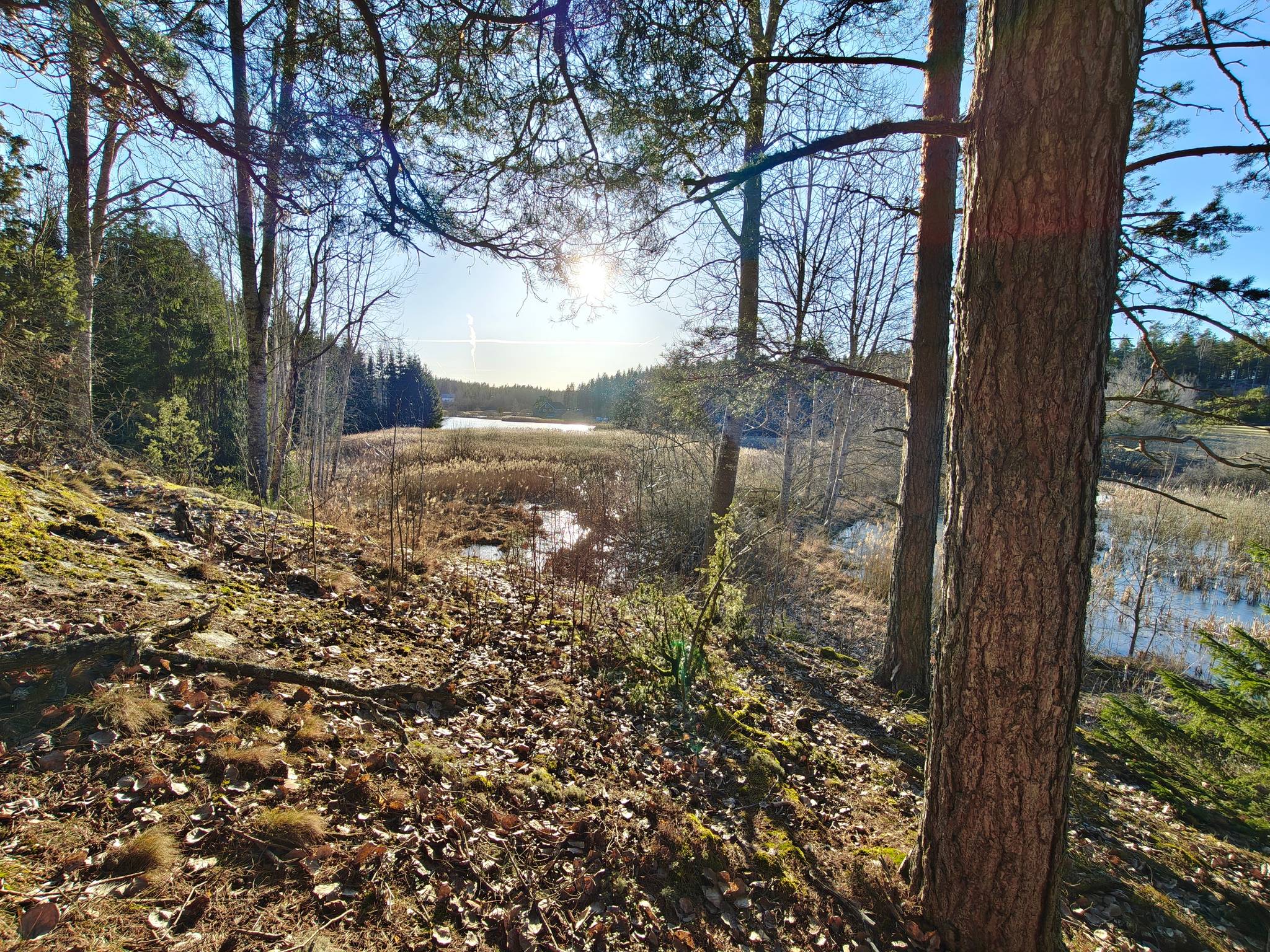 5.5 rum Villa på Häjan Landet 1 Olerum Söderköpings kommun - bild 56